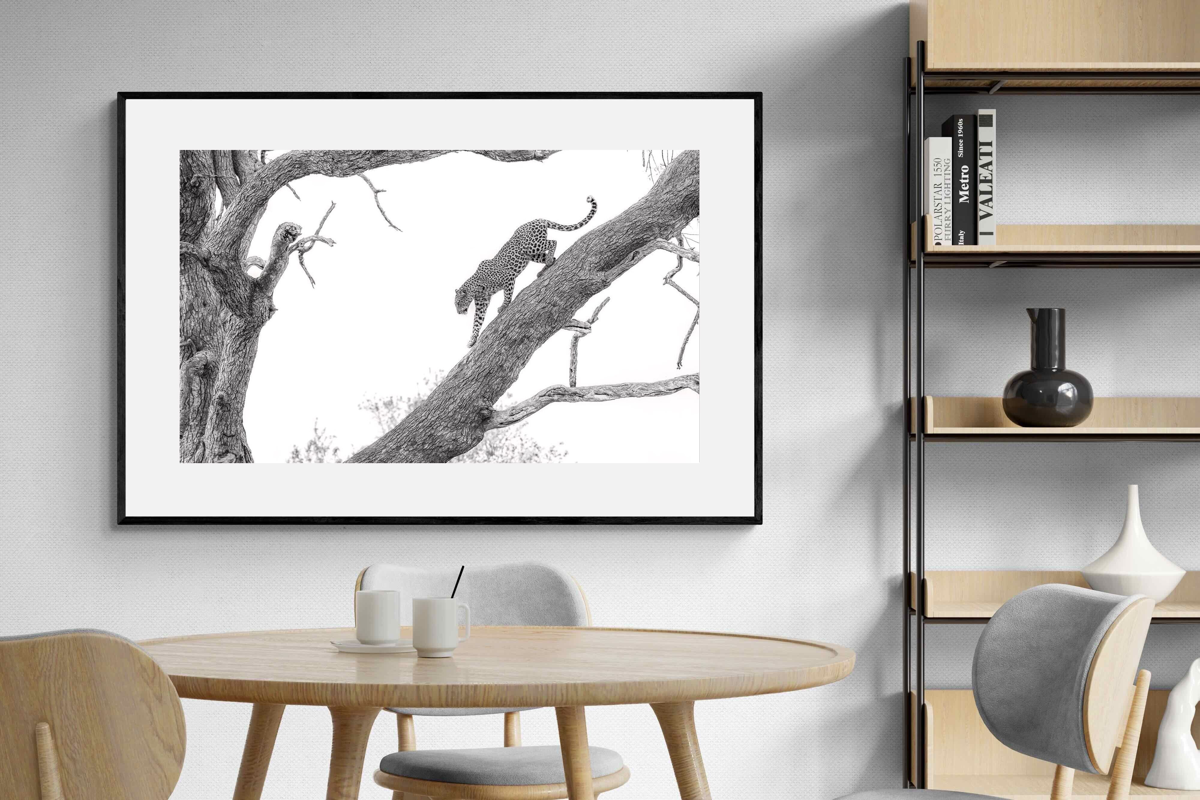 Pixalot Majestic Climber