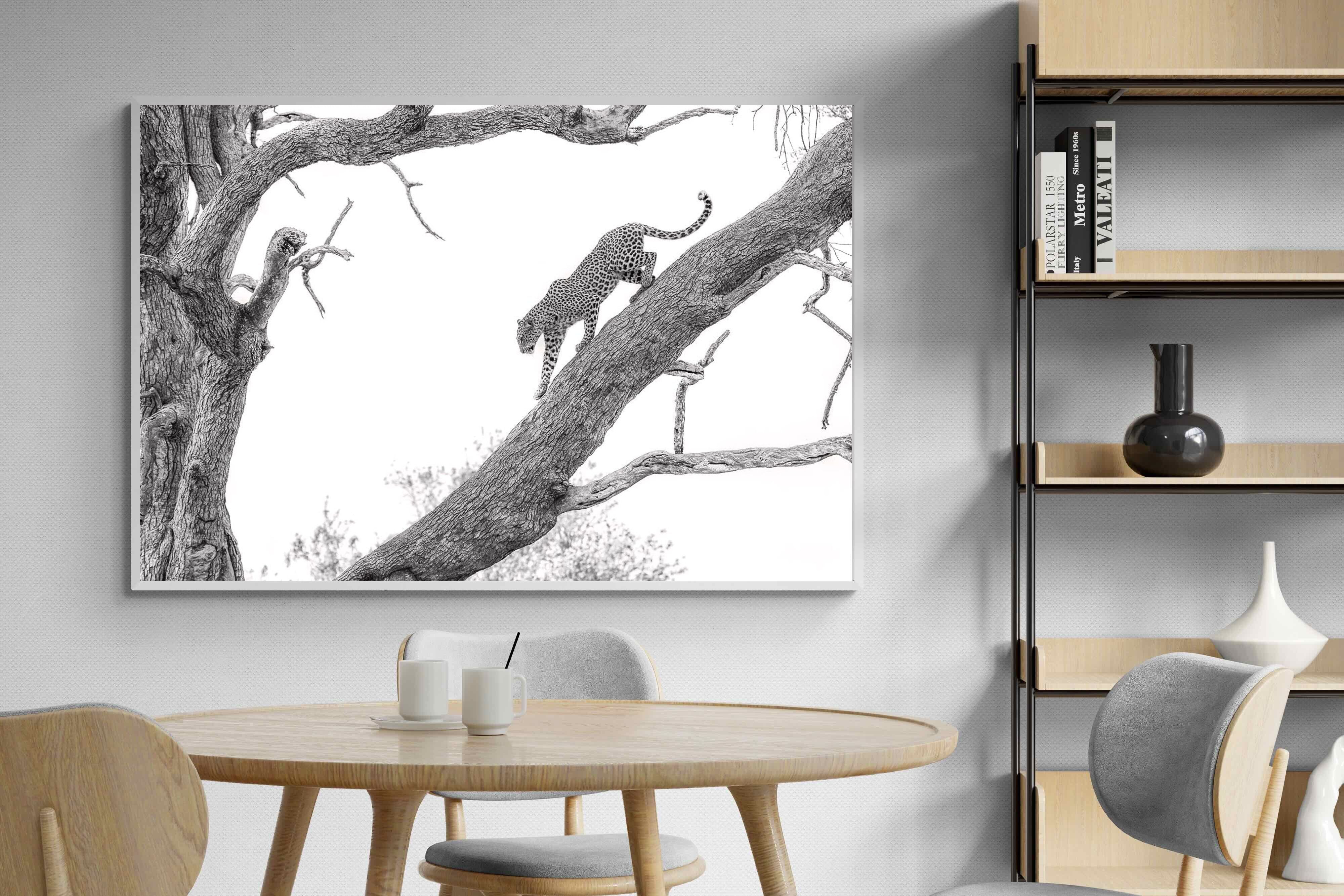 Pixalot Majestic Climber