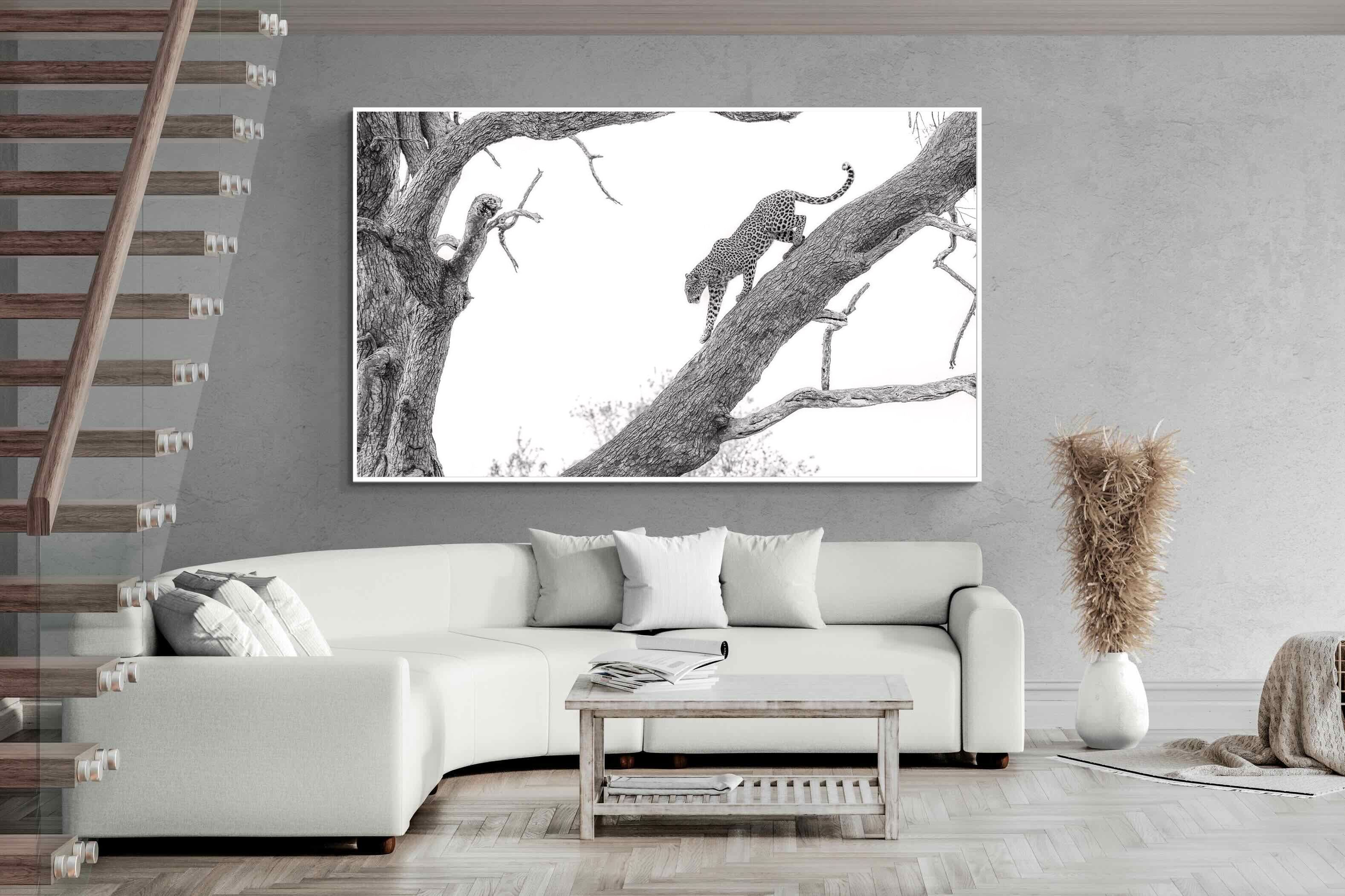 Pixalot Majestic Climber