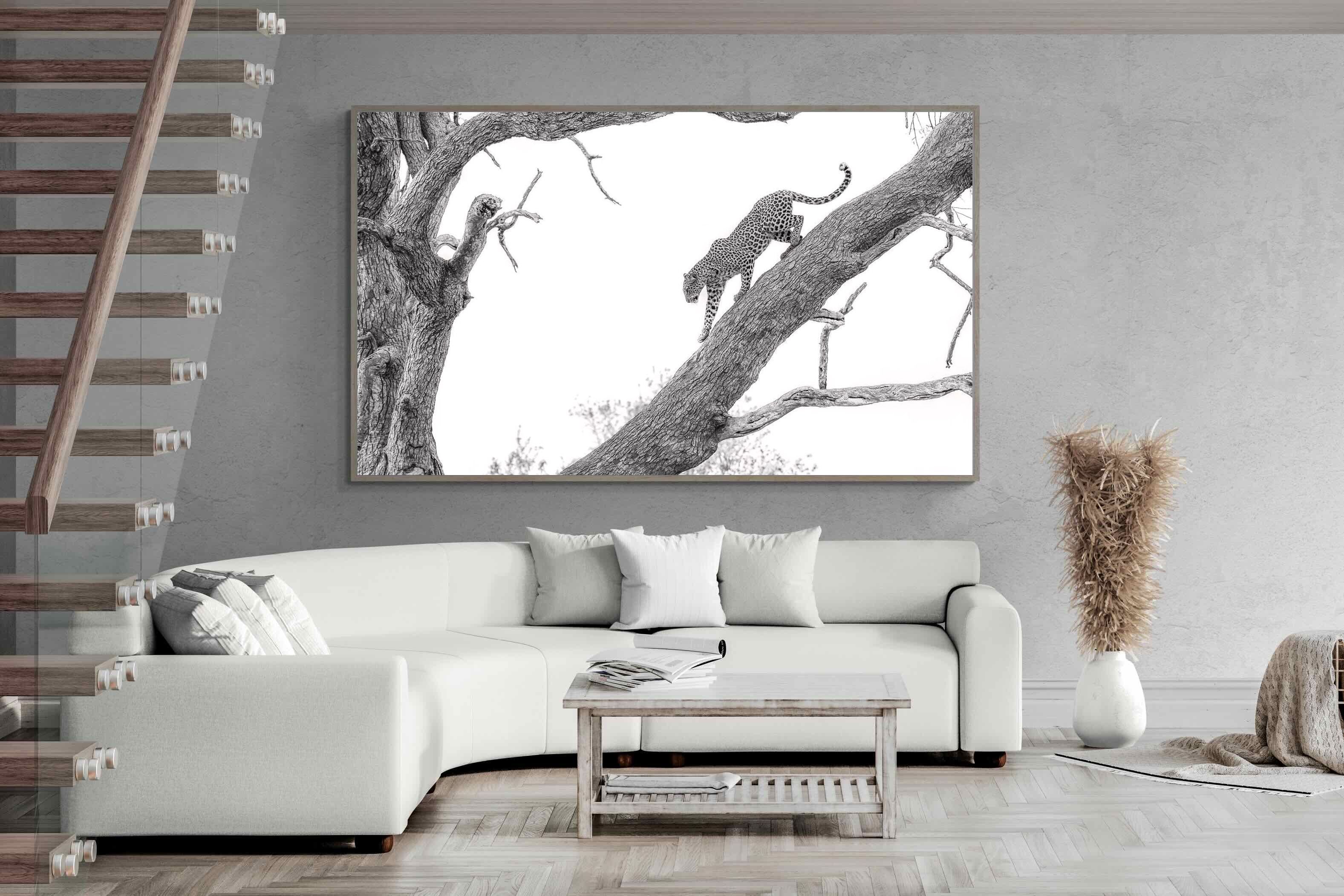 Pixalot Majestic Climber