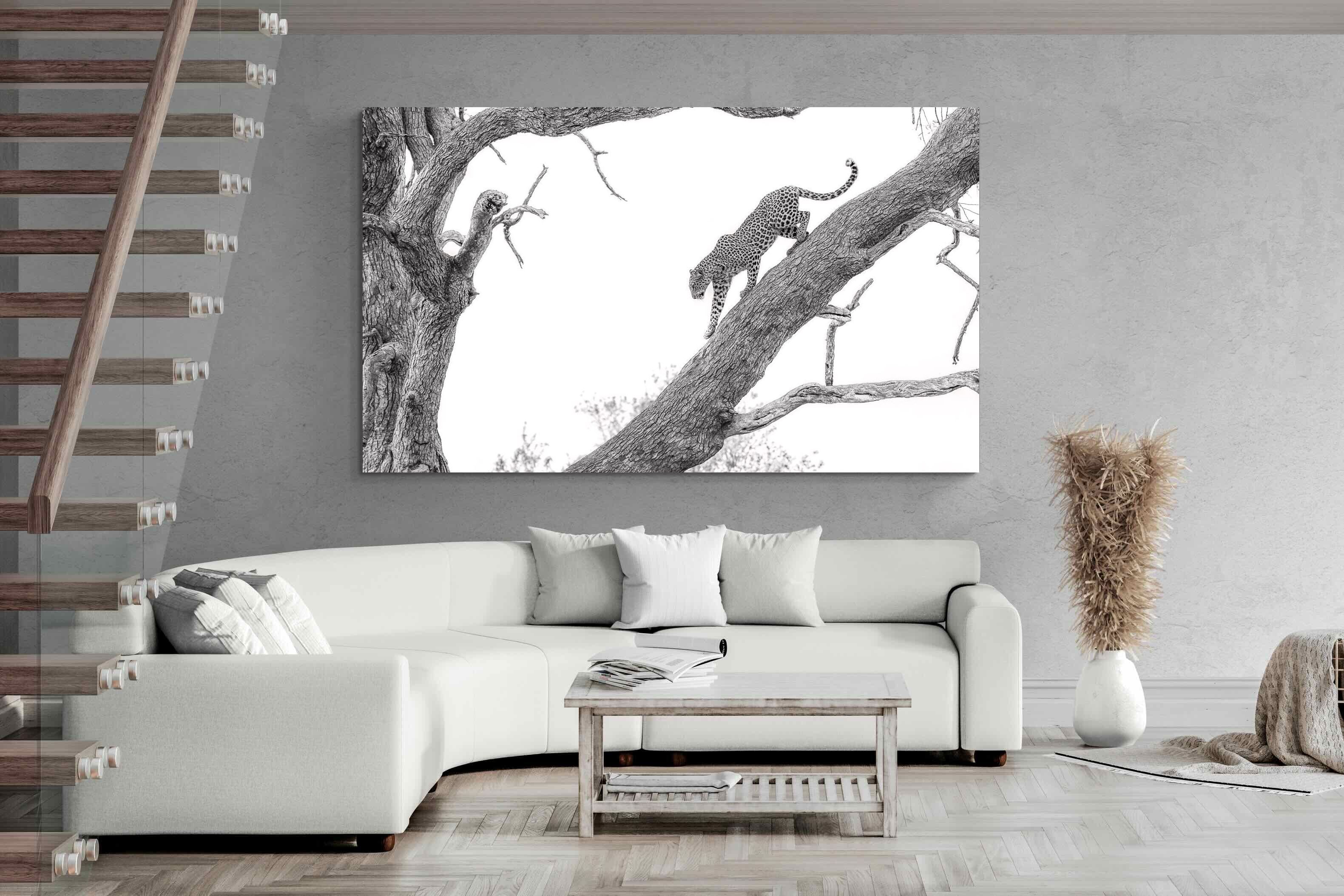 Pixalot Majestic Climber