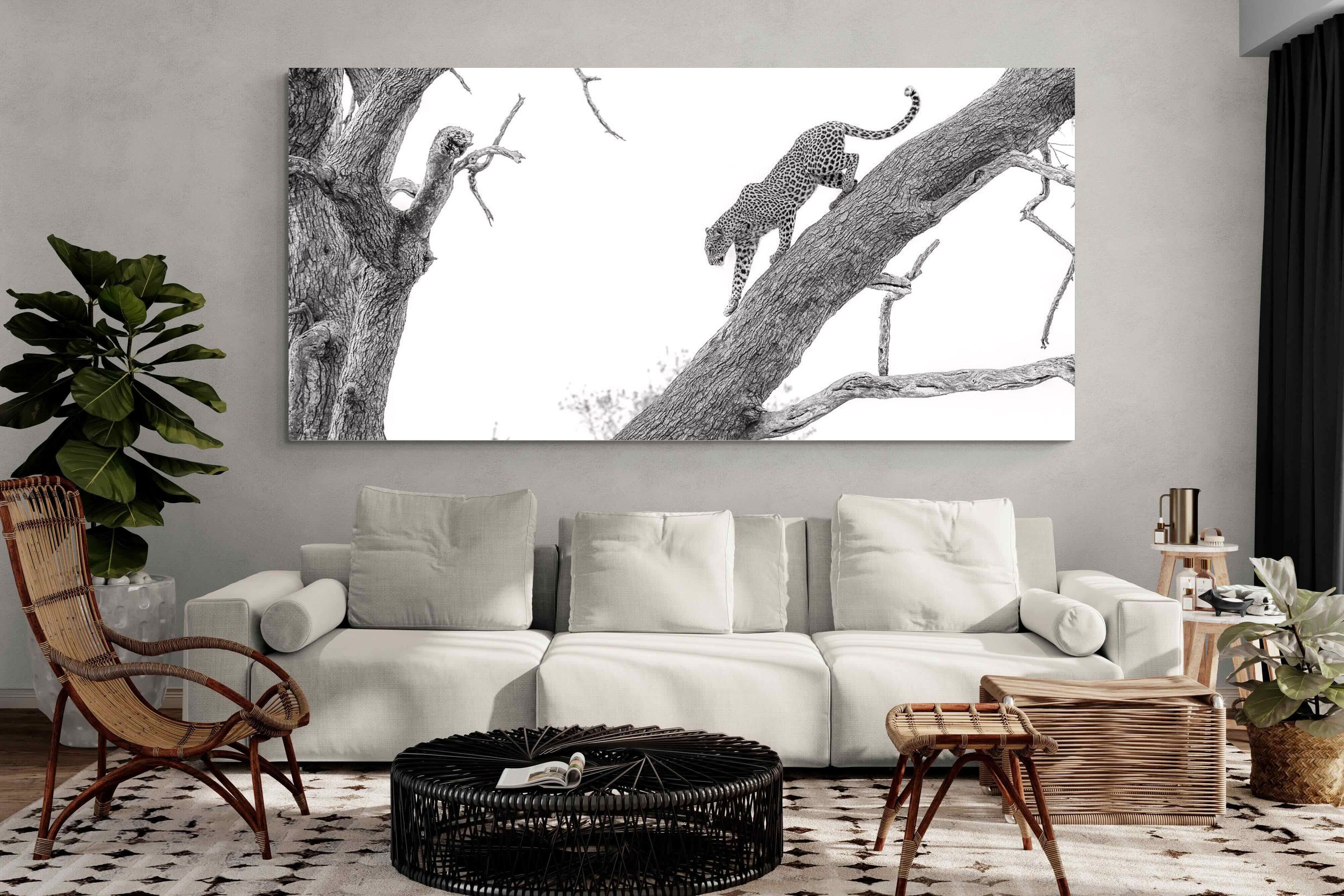 Pixalot Majestic Climber