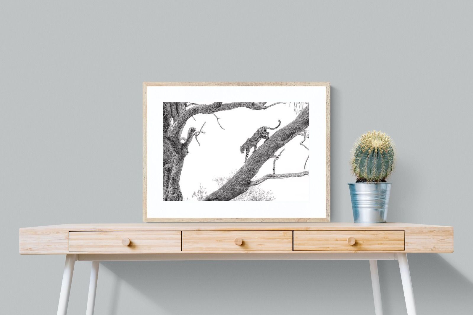 Pixalot Majestic Climber