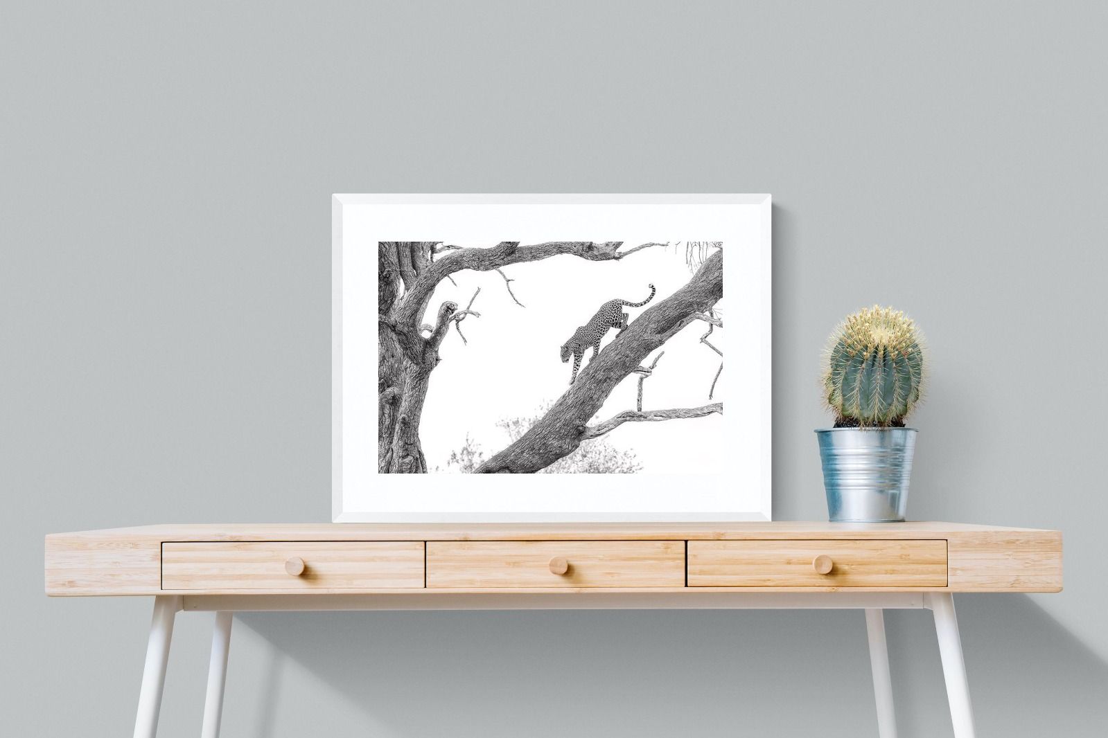 Pixalot Majestic Climber