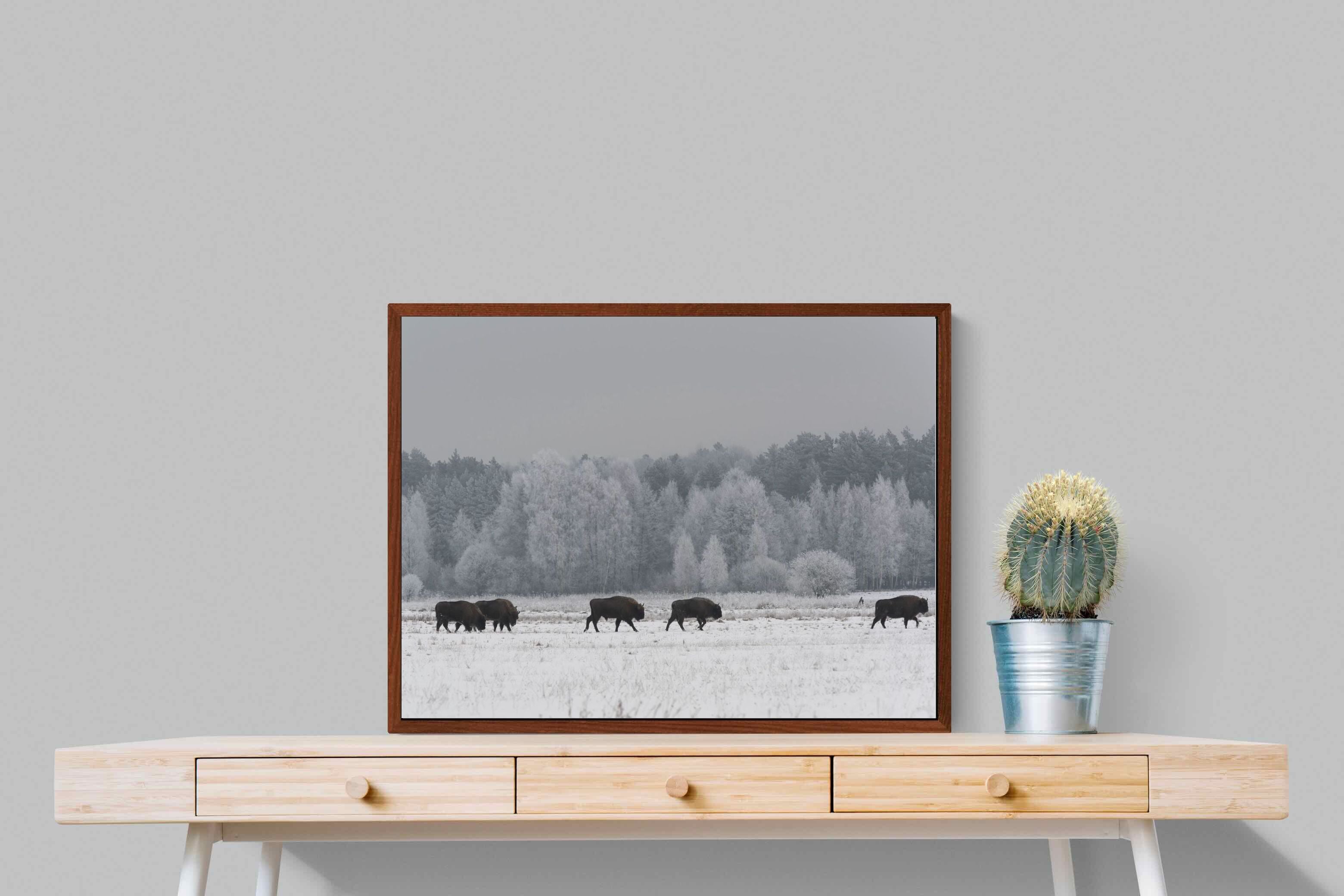 Pixalot ® March of the Bison