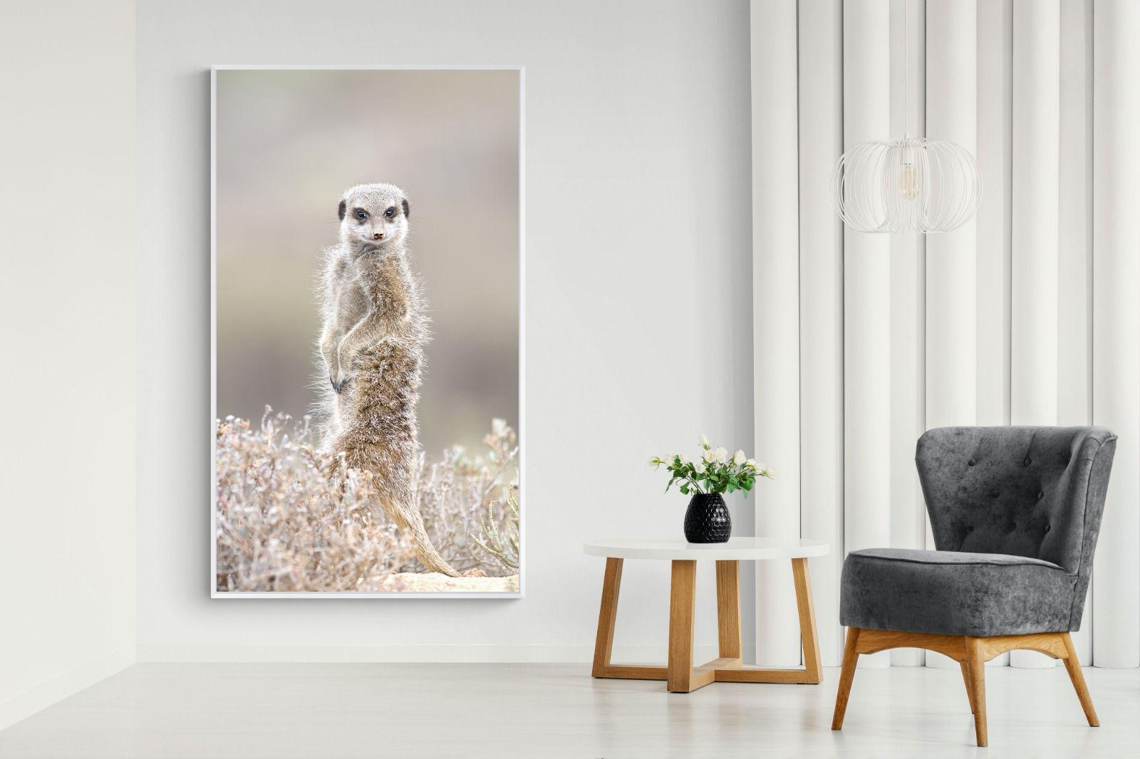 Pixalot Meerkat