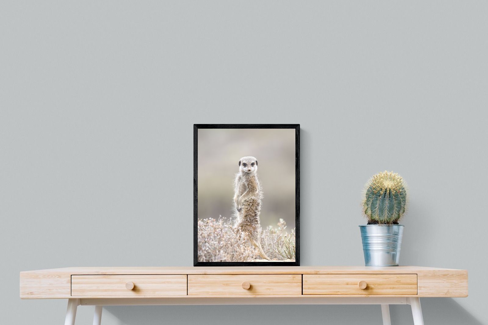 Pixalot Meerkat