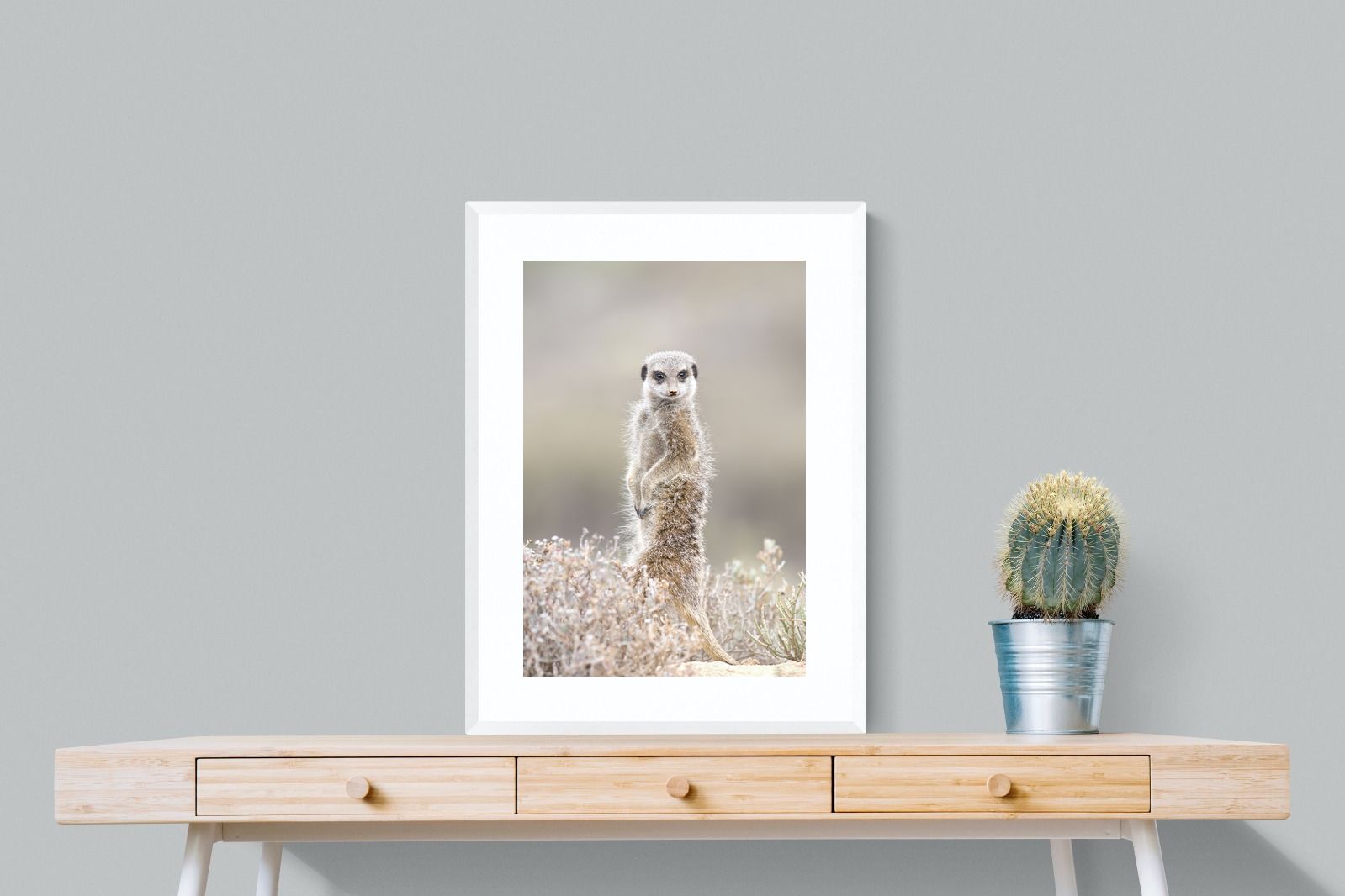 Pixalot Meerkat