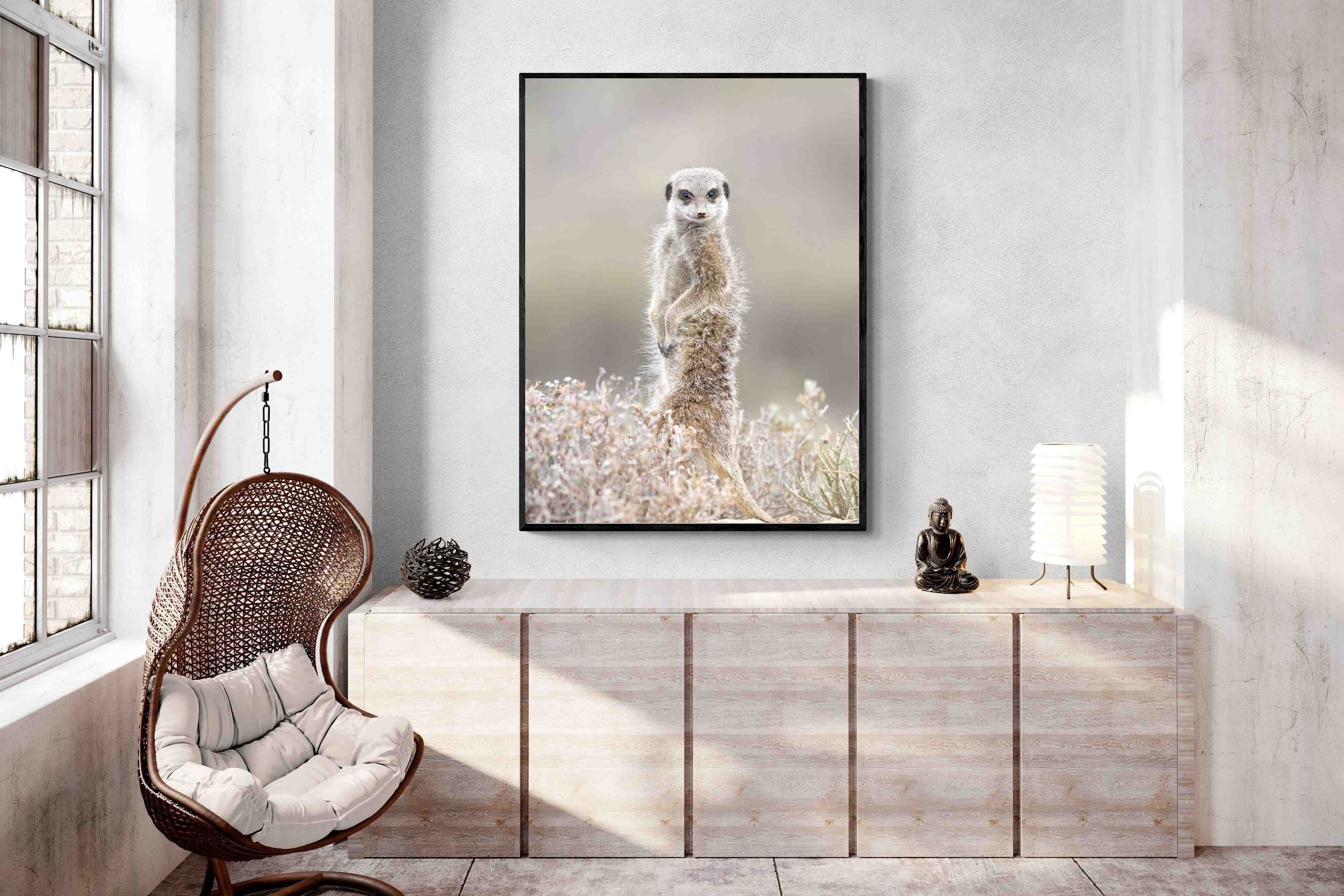 Pixalot Meerkat