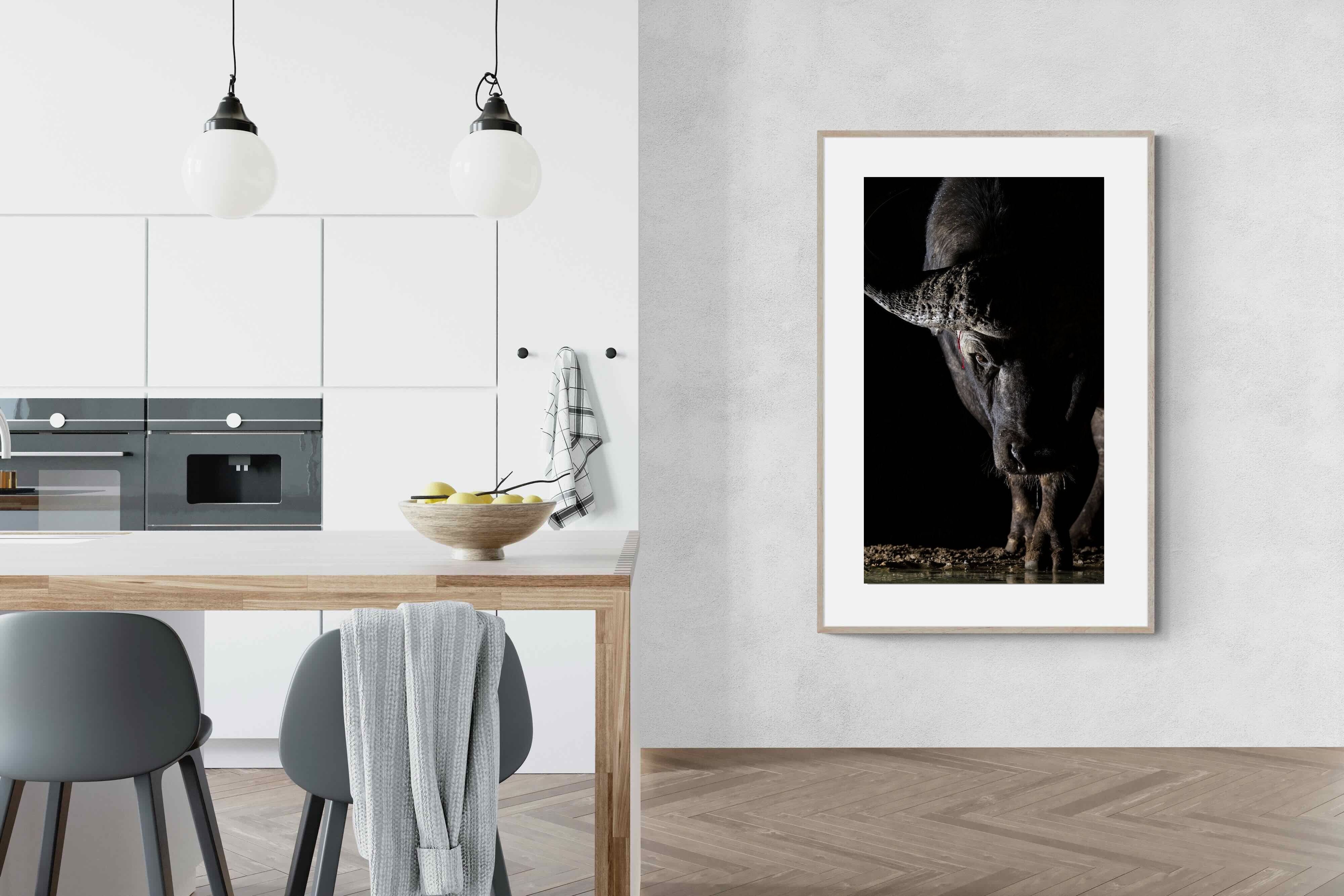 Pixalot Midnight Stare