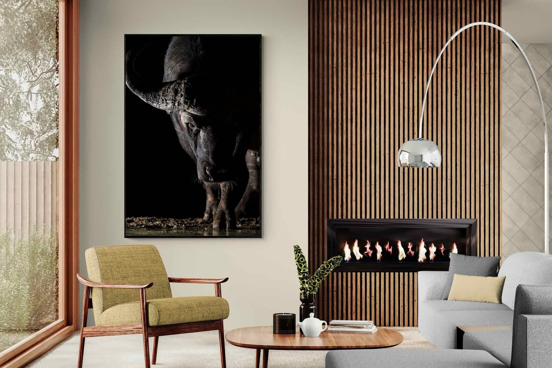 Pixalot Midnight Stare