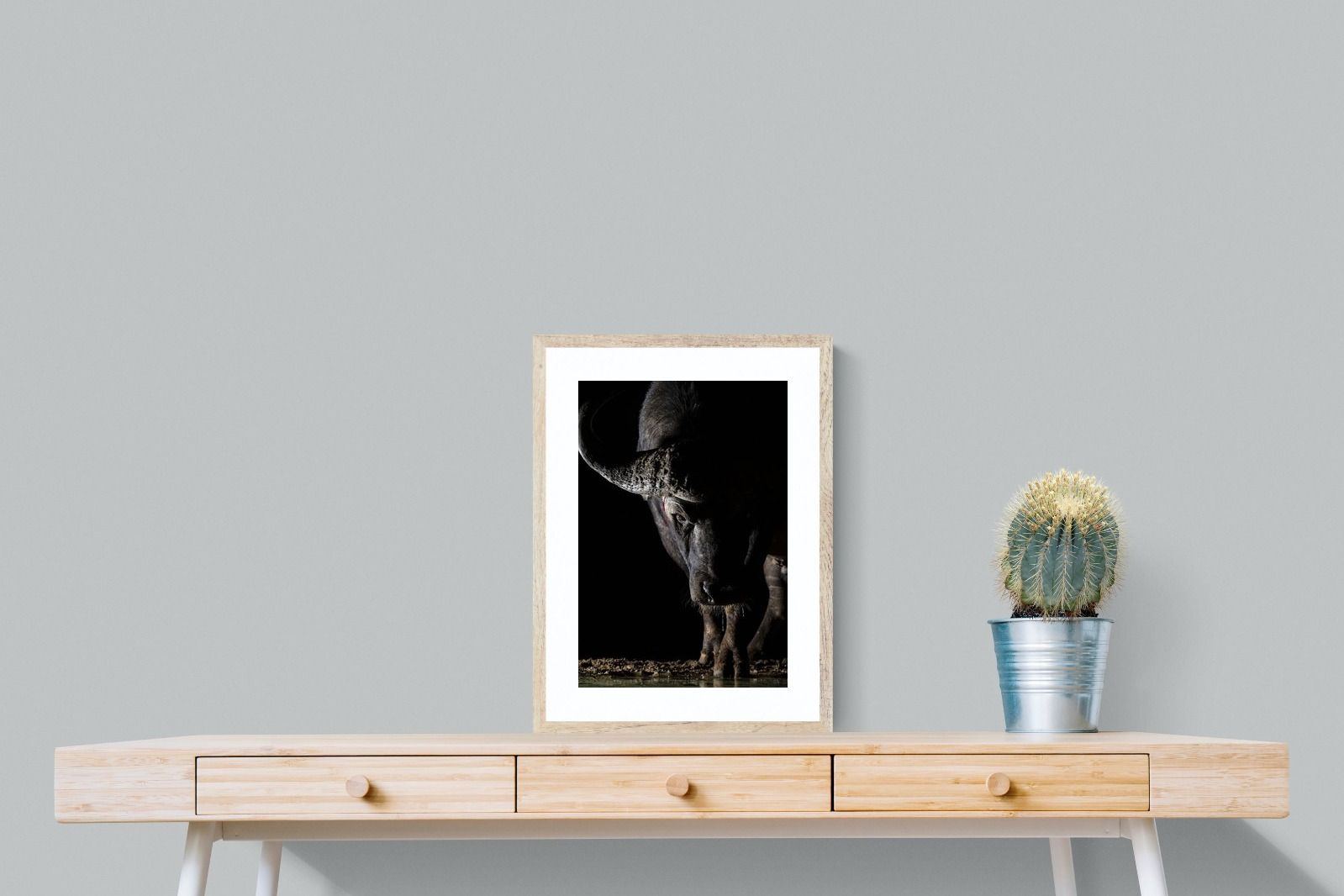 Pixalot Midnight Stare