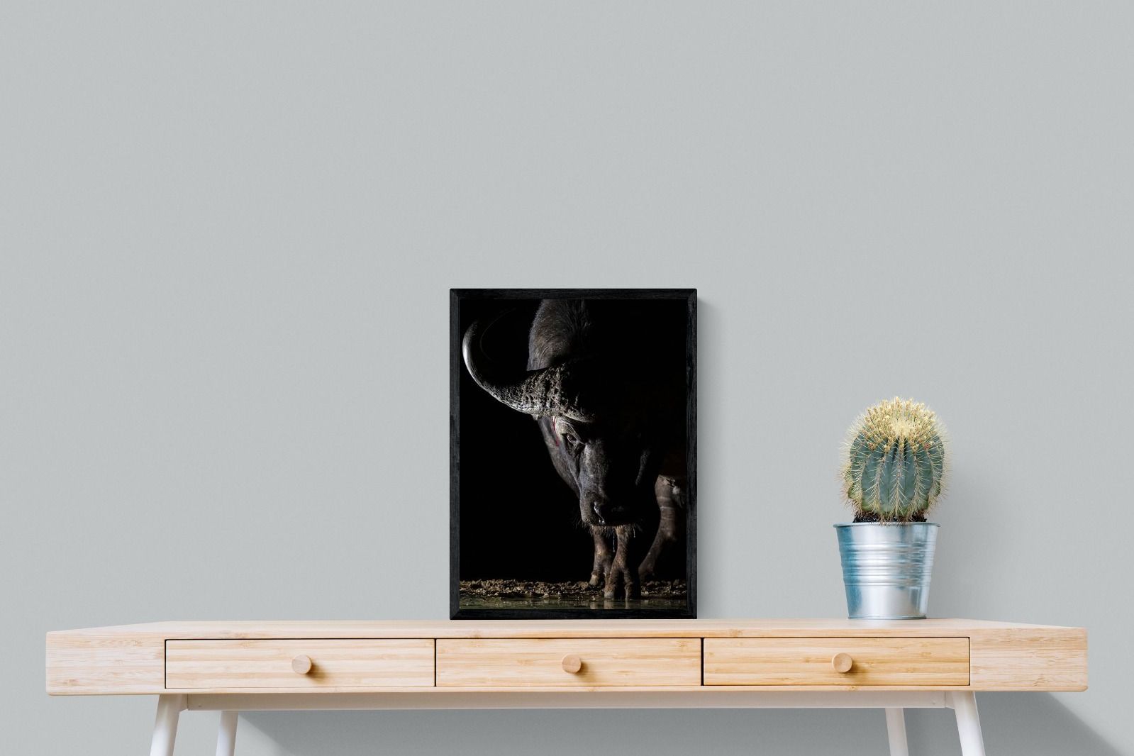 Pixalot Midnight Stare