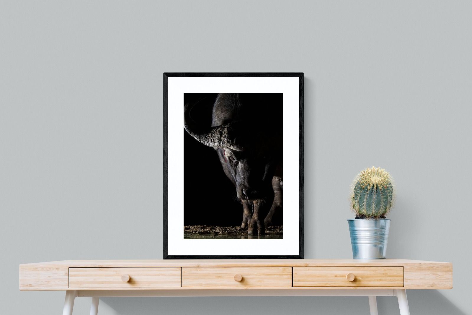 Pixalot Midnight Stare