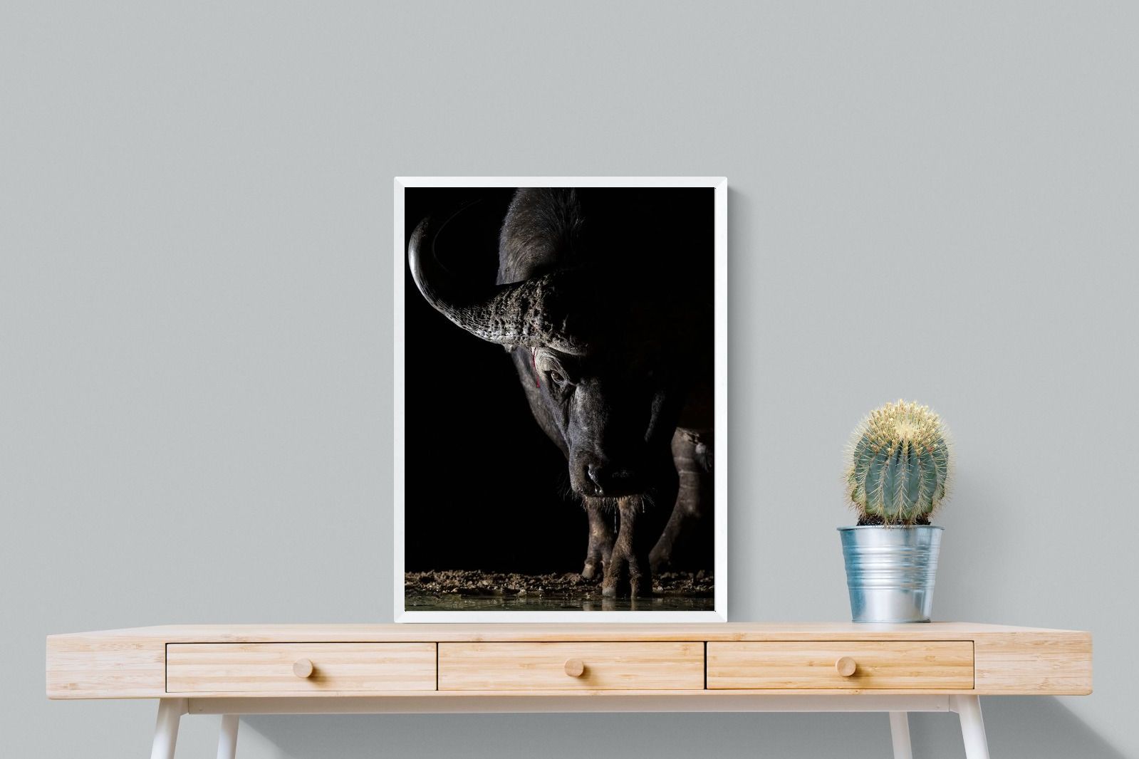 Pixalot Midnight Stare