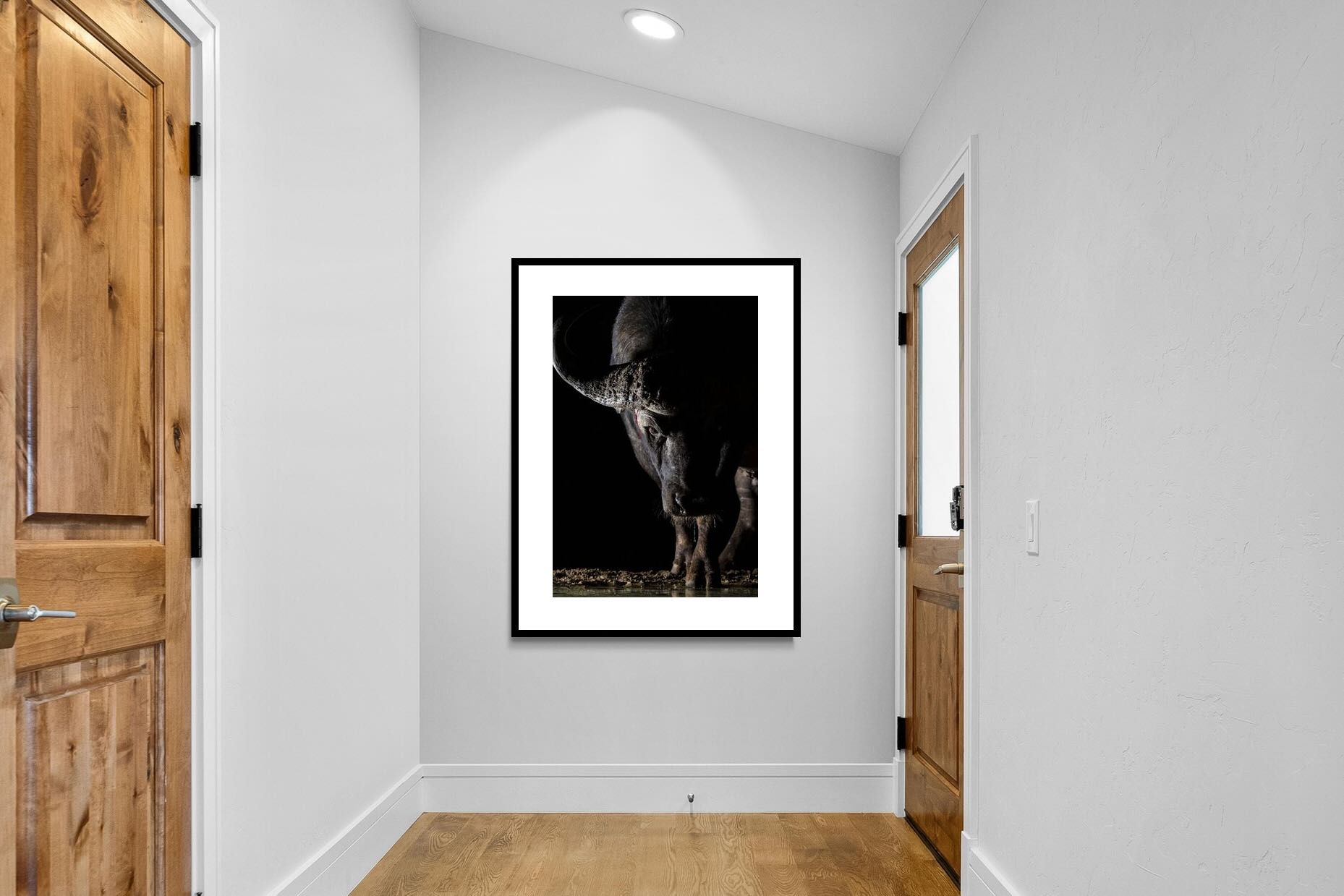 Pixalot Midnight Stare