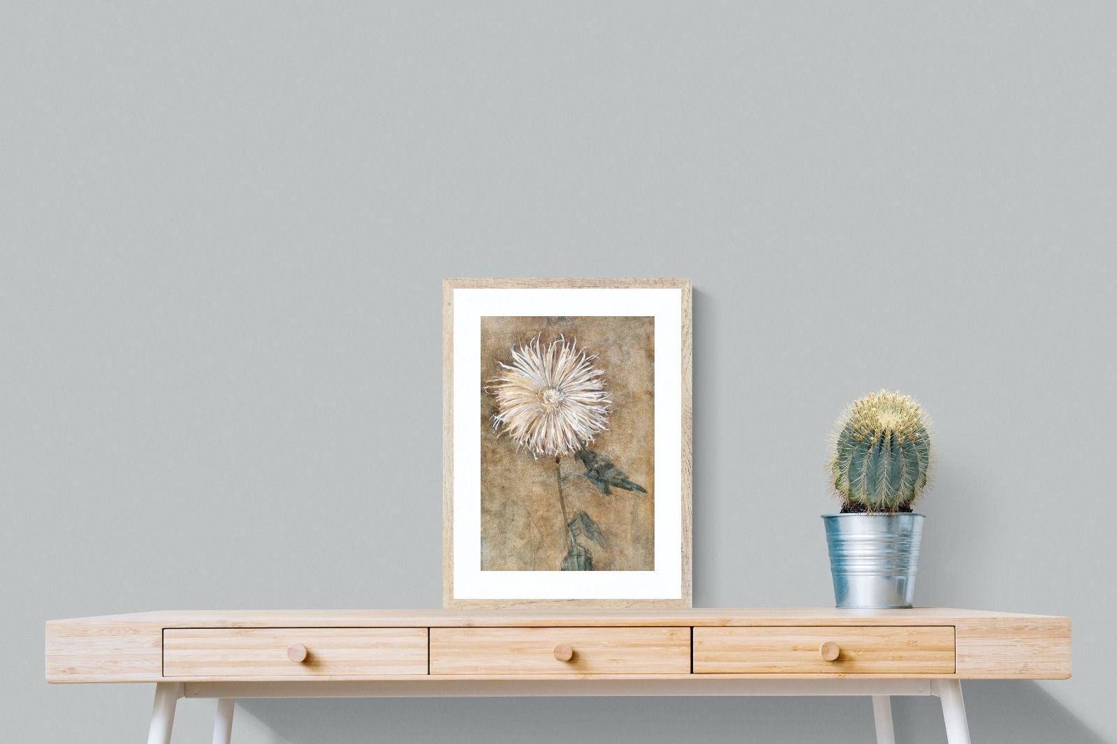 Pixalot Mondrian Chrysanthemum