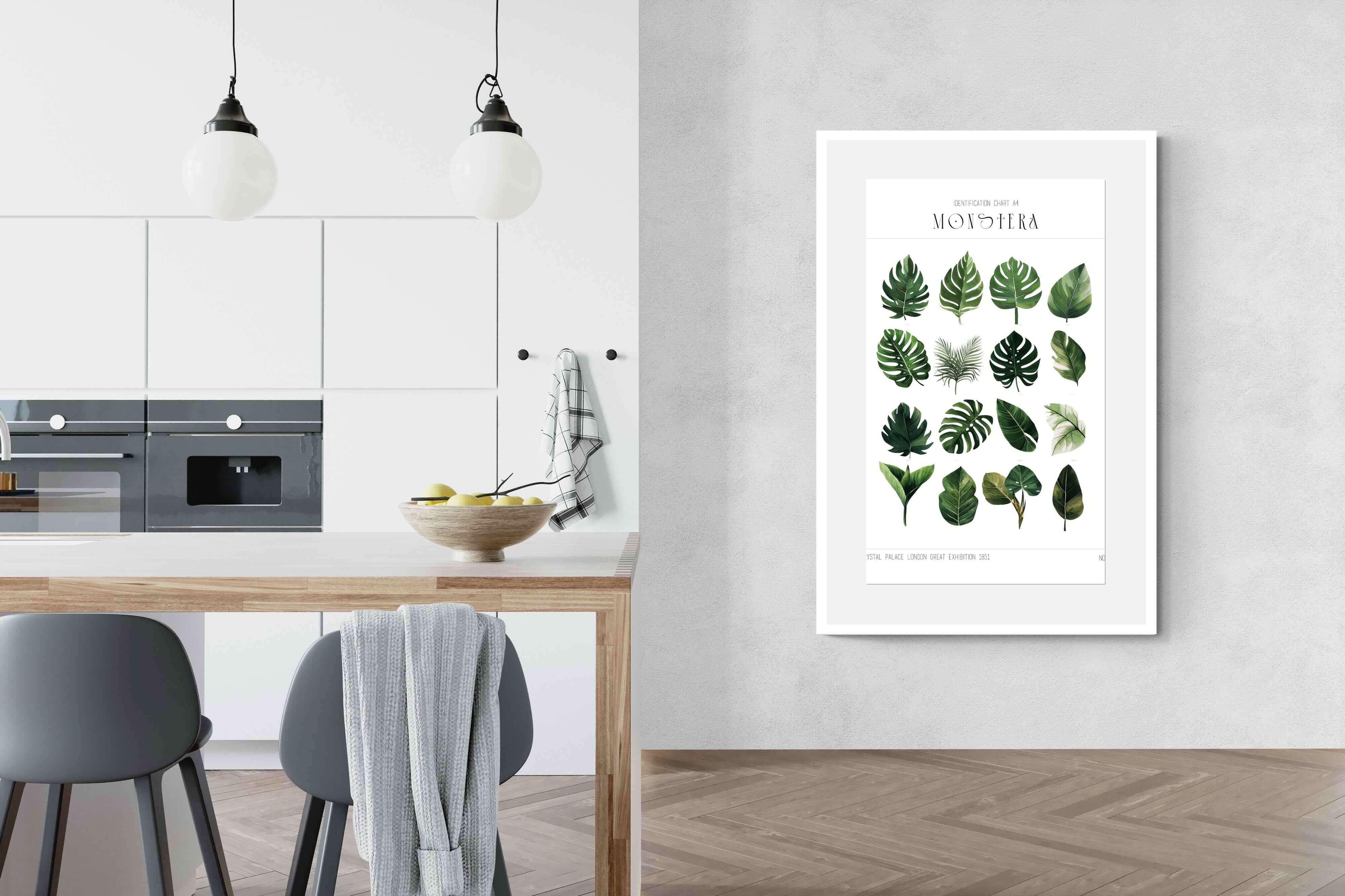 Pixalot Monstera Illustration Collection