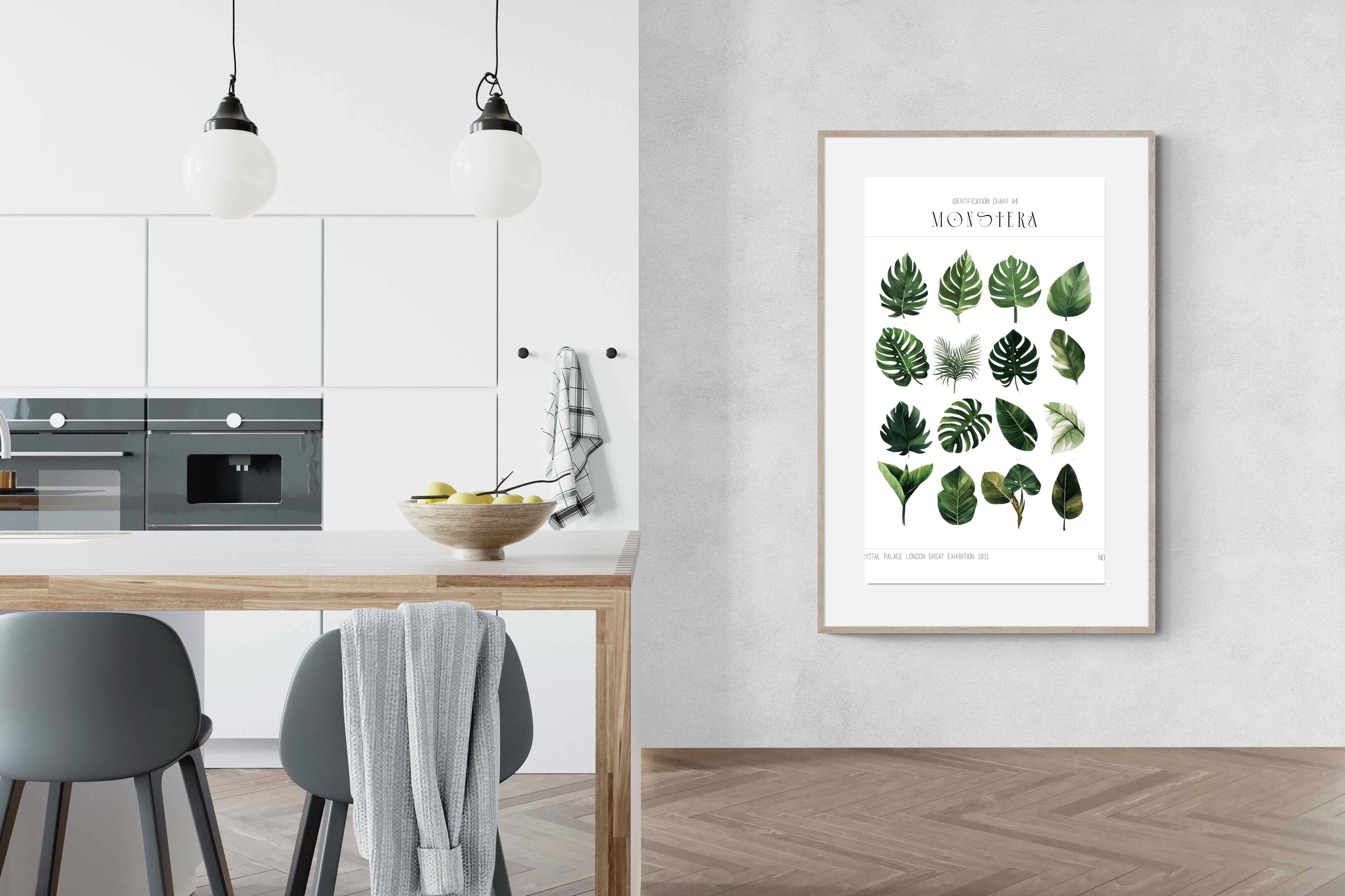 Pixalot Monstera Illustration Collection