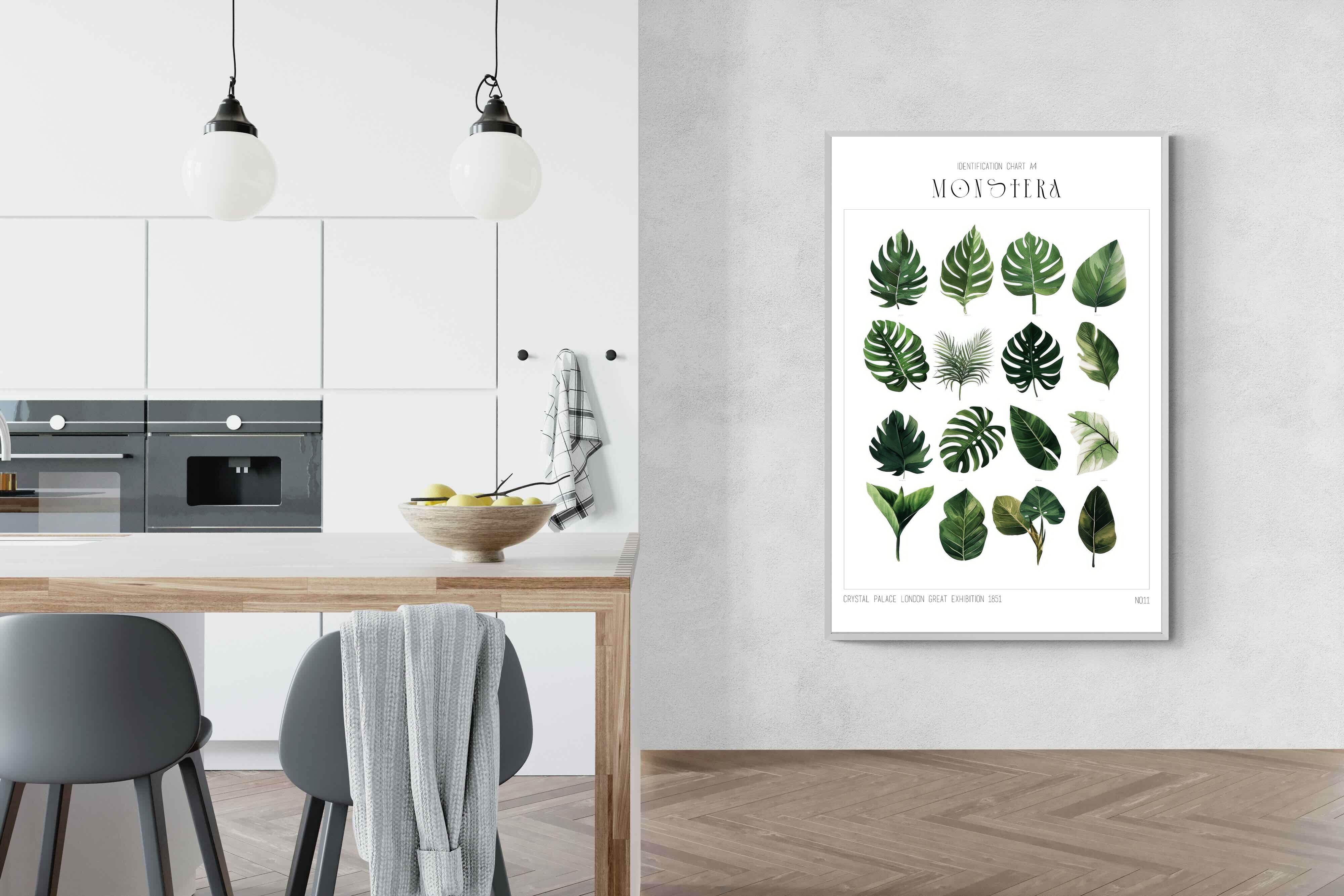 Pixalot Monstera Illustration Collection