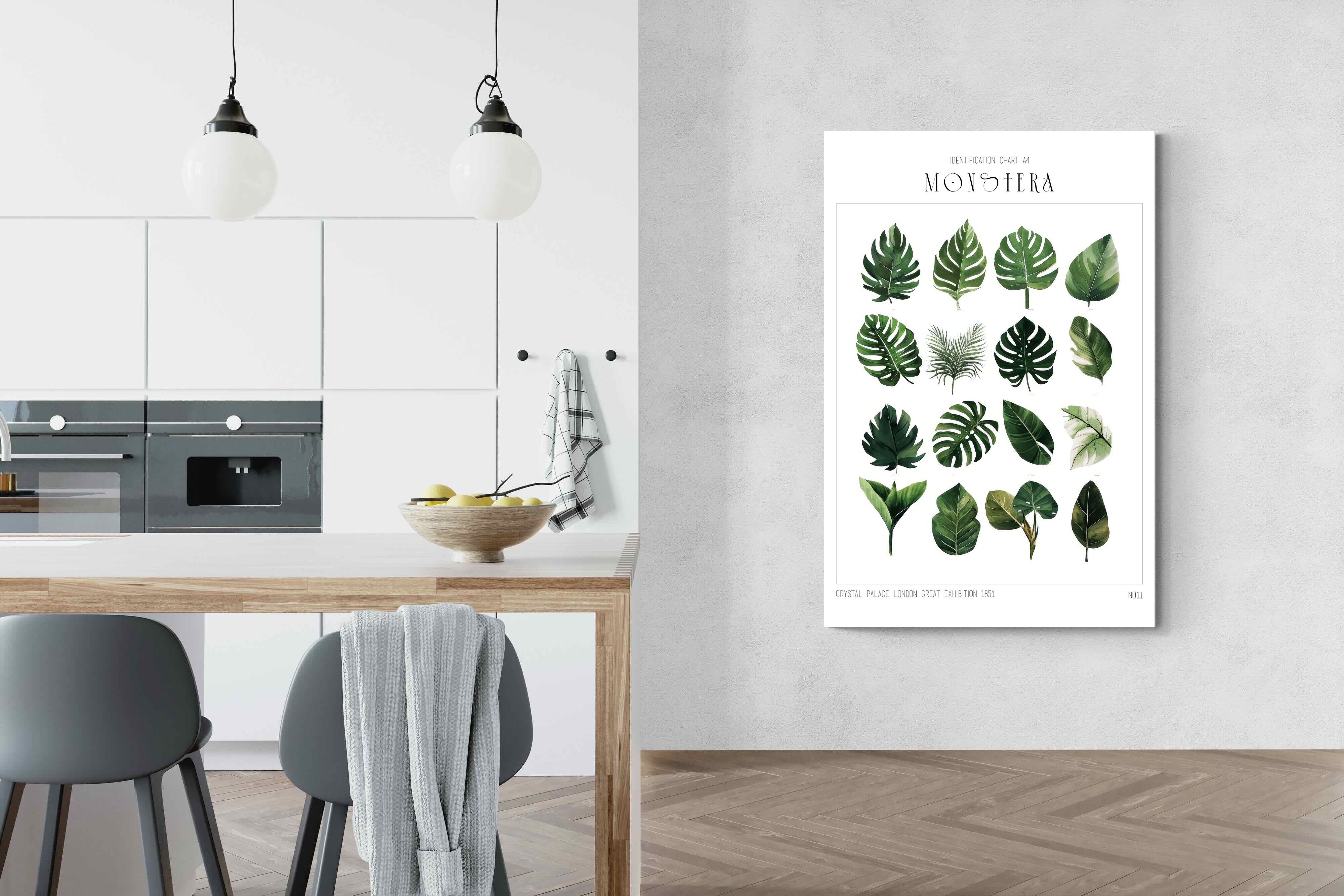 Pixalot Monstera Illustration Collection