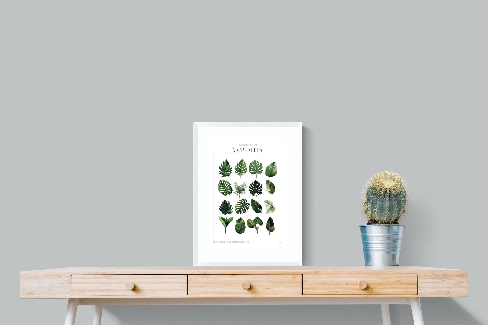 Pixalot Monstera Illustration Collection