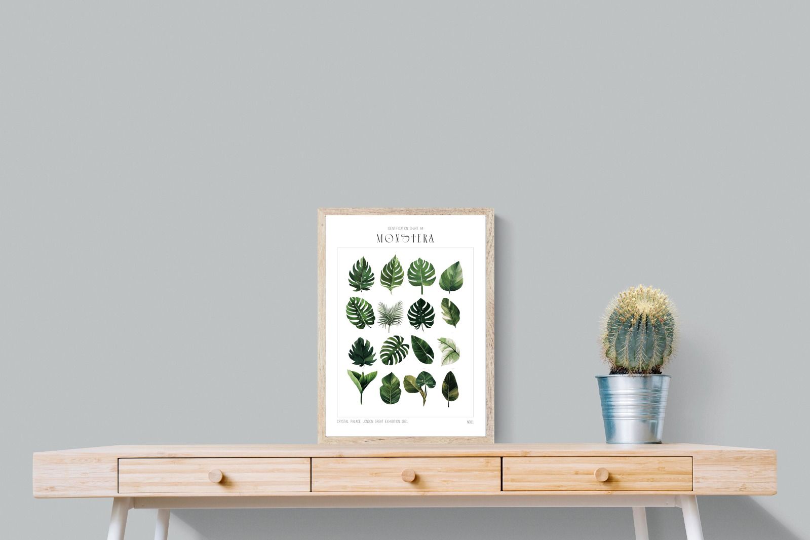 Pixalot Monstera Illustration Collection