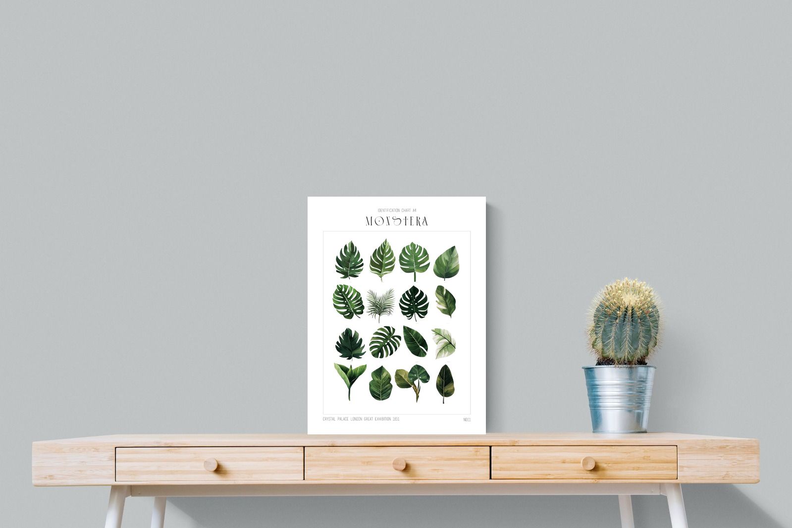 Pixalot Monstera Illustration Collection