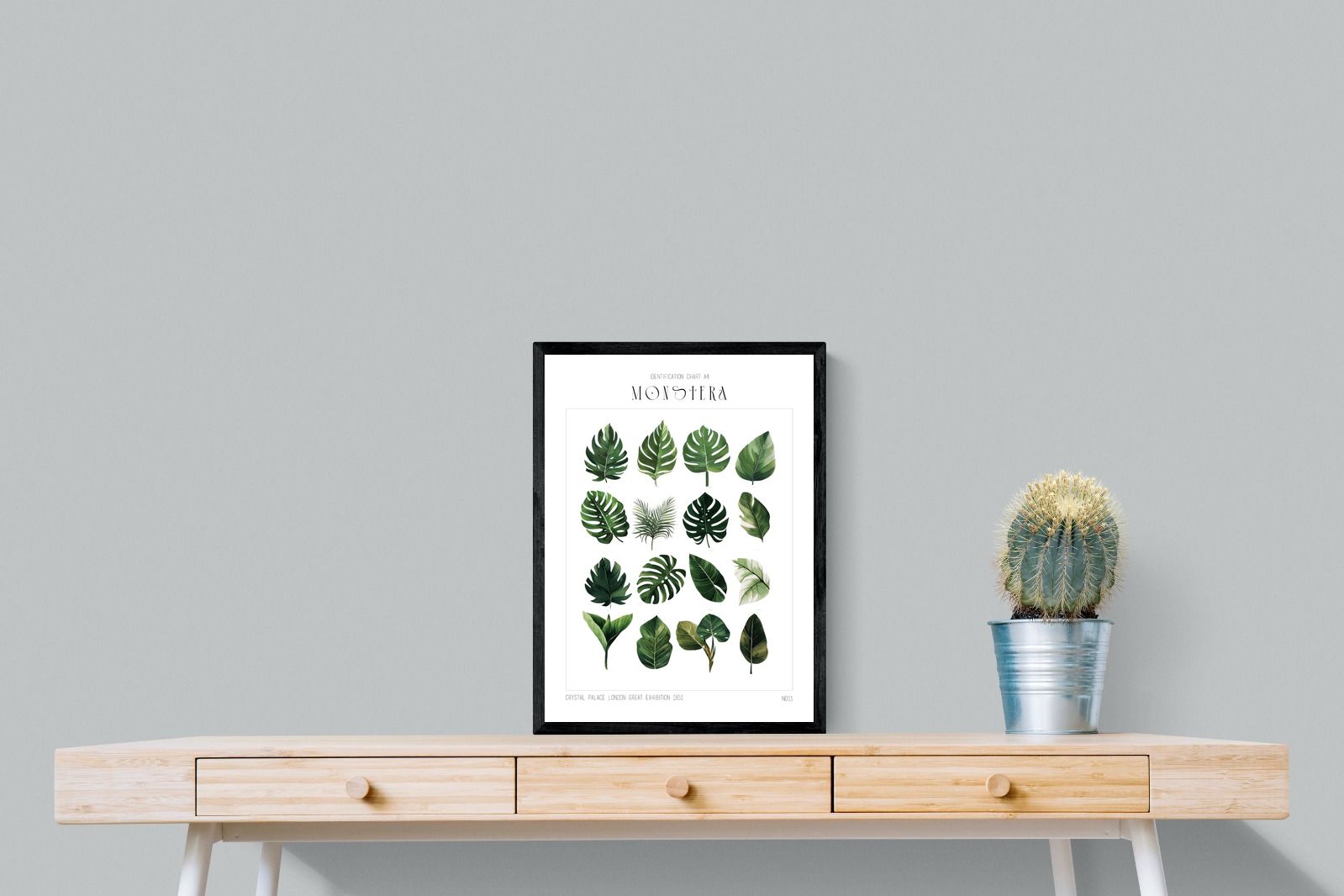 Pixalot Monstera Illustration Collection