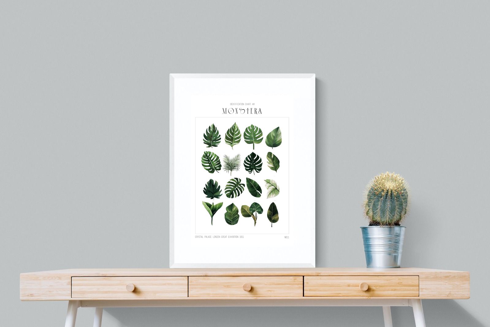 Pixalot Monstera Illustration Collection