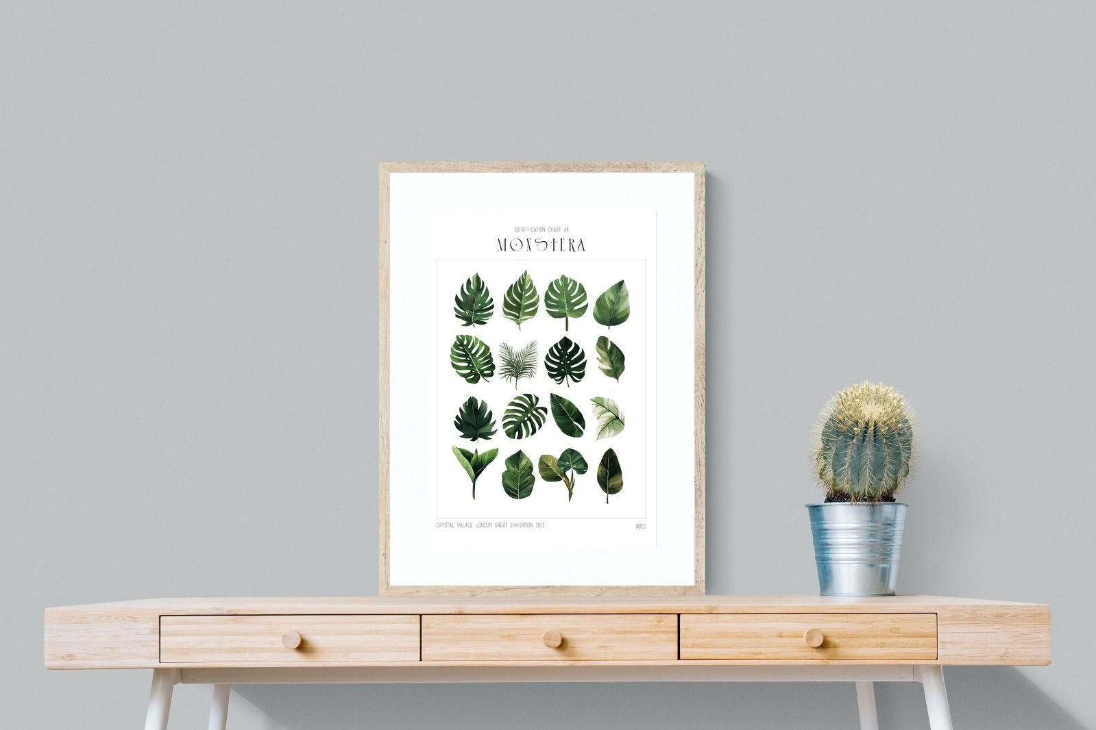 Pixalot Monstera Illustration Collection