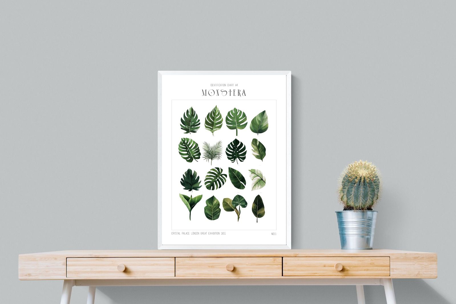 Pixalot Monstera Illustration Collection