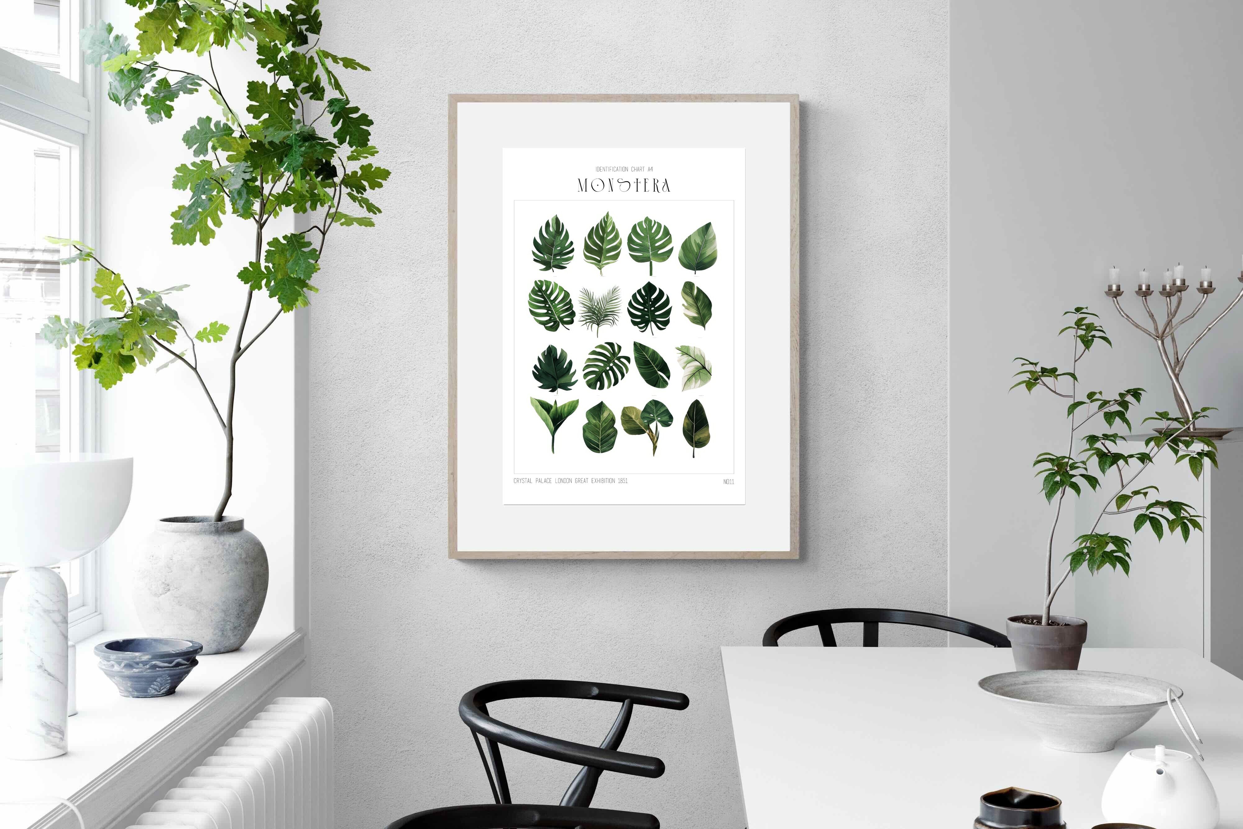 Pixalot Monstera Illustration Collection