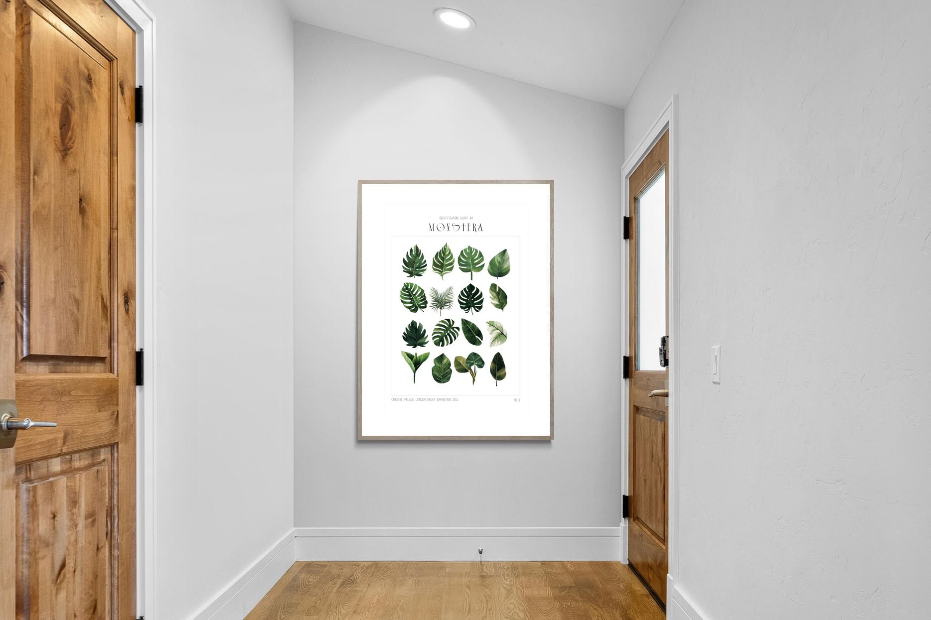 Pixalot Monstera Illustration Collection
