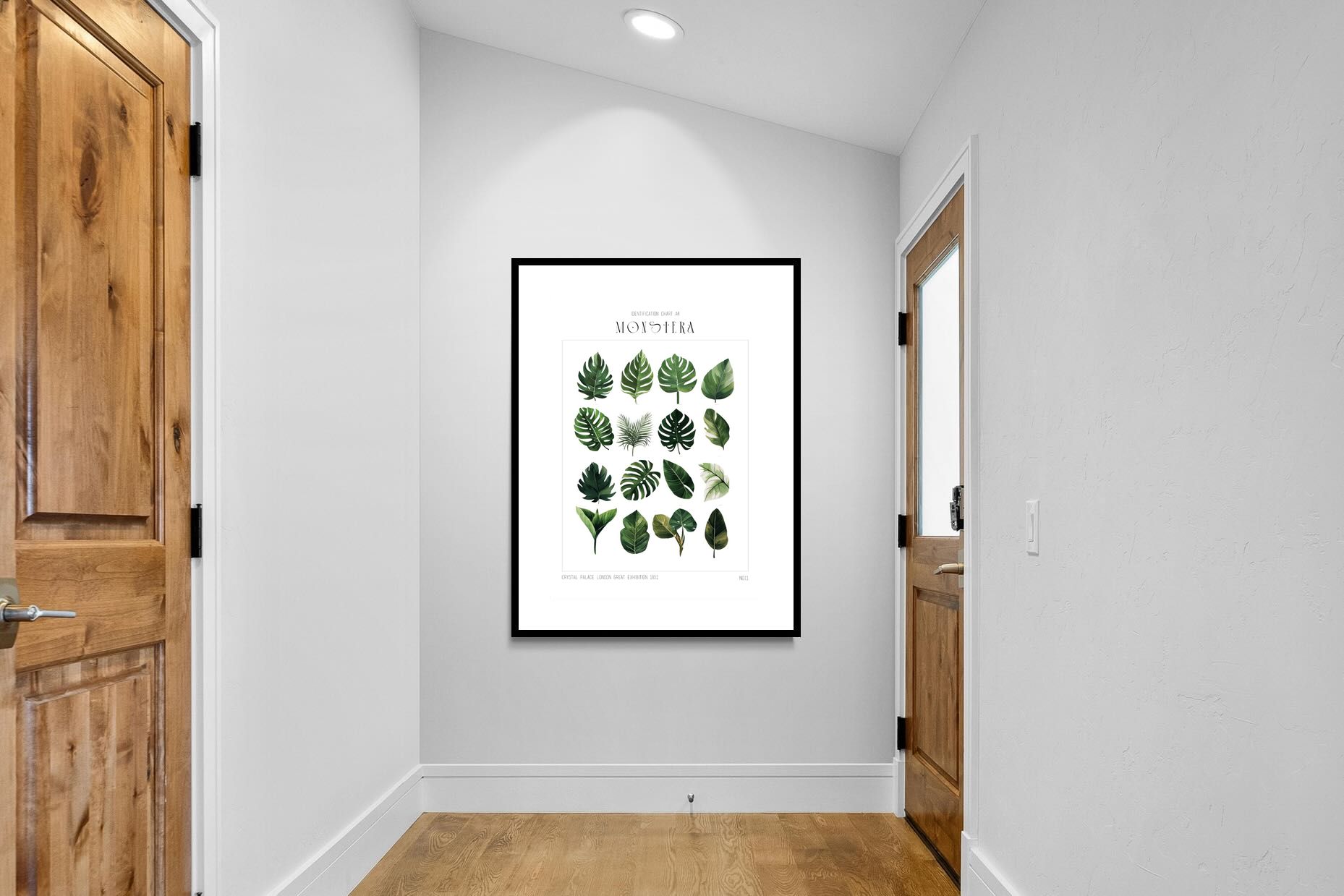 Pixalot Monstera Illustration Collection