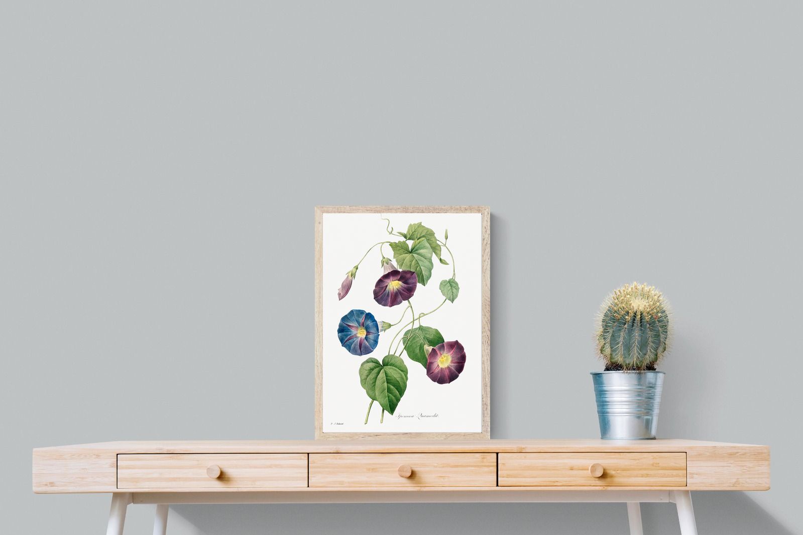 Pixalot Morning Glory Study