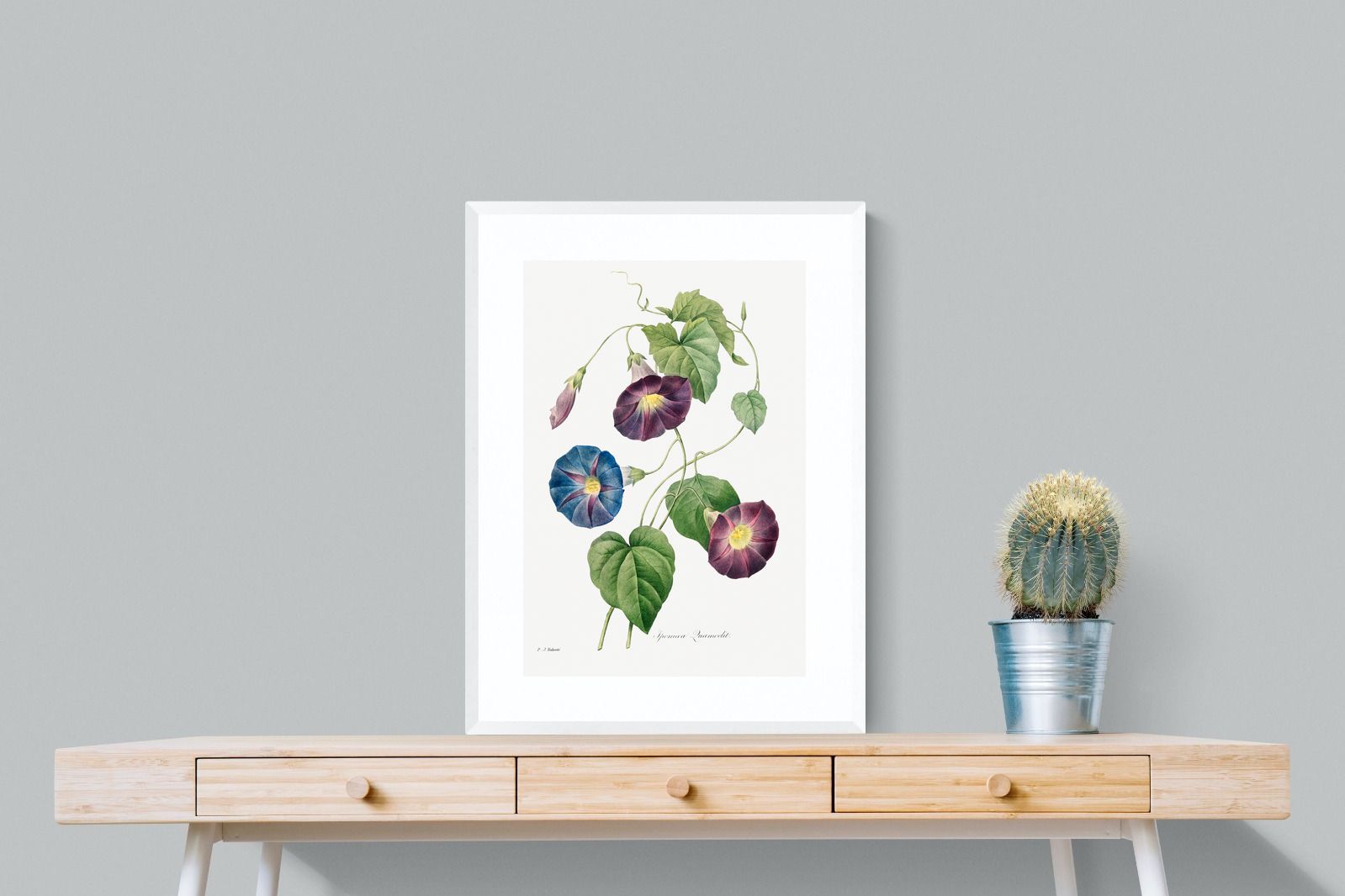 Pixalot Morning Glory Study