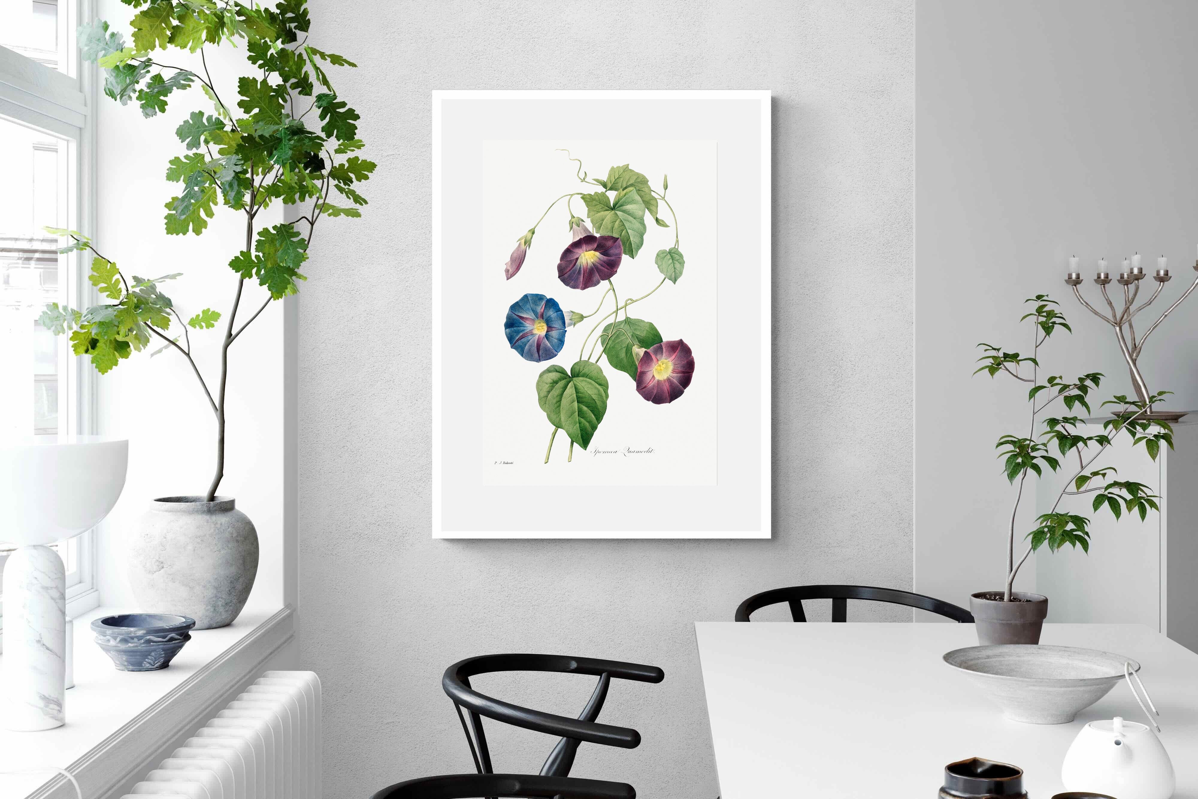 Pixalot Morning Glory Study