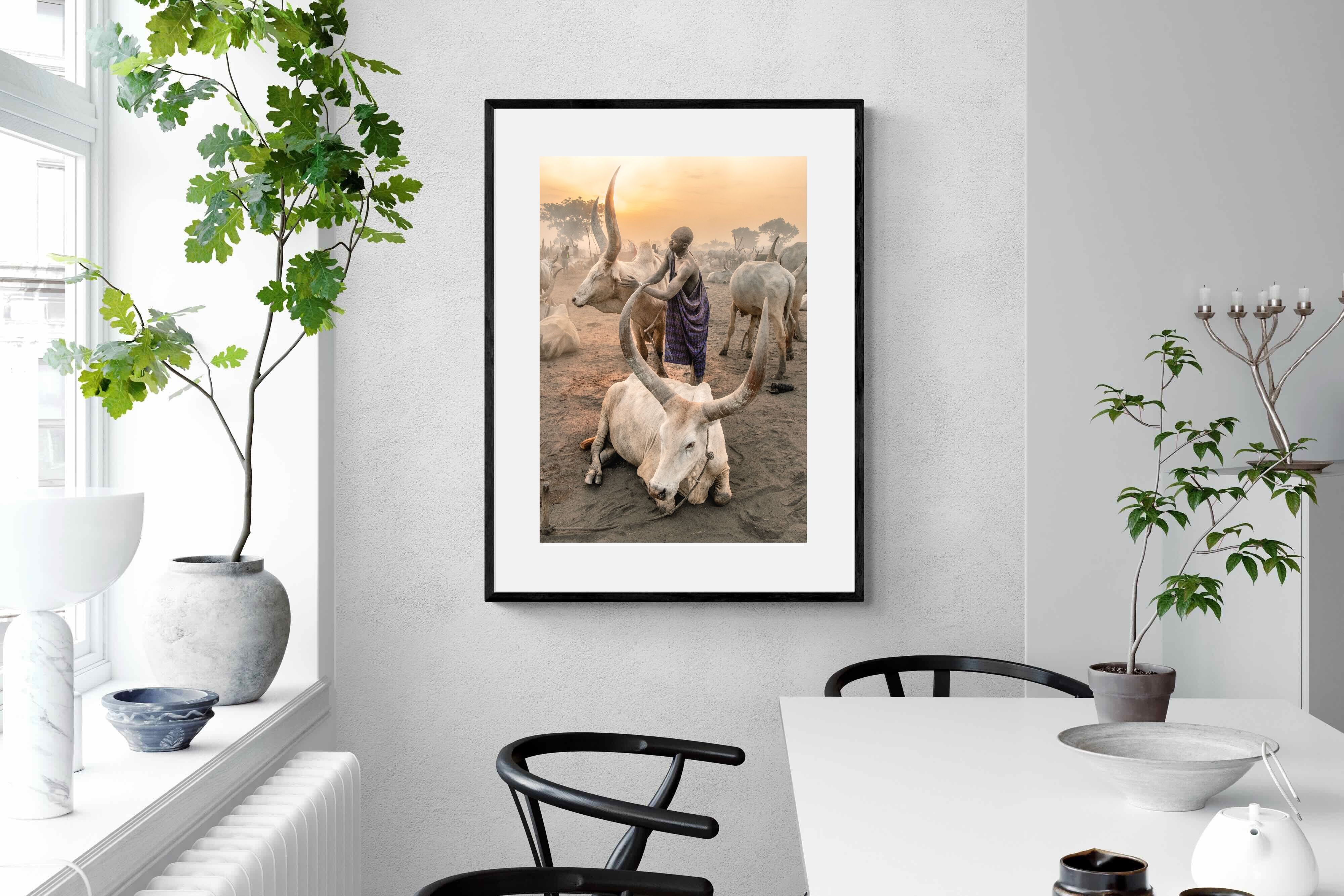 Pixalot Mundari Dawn