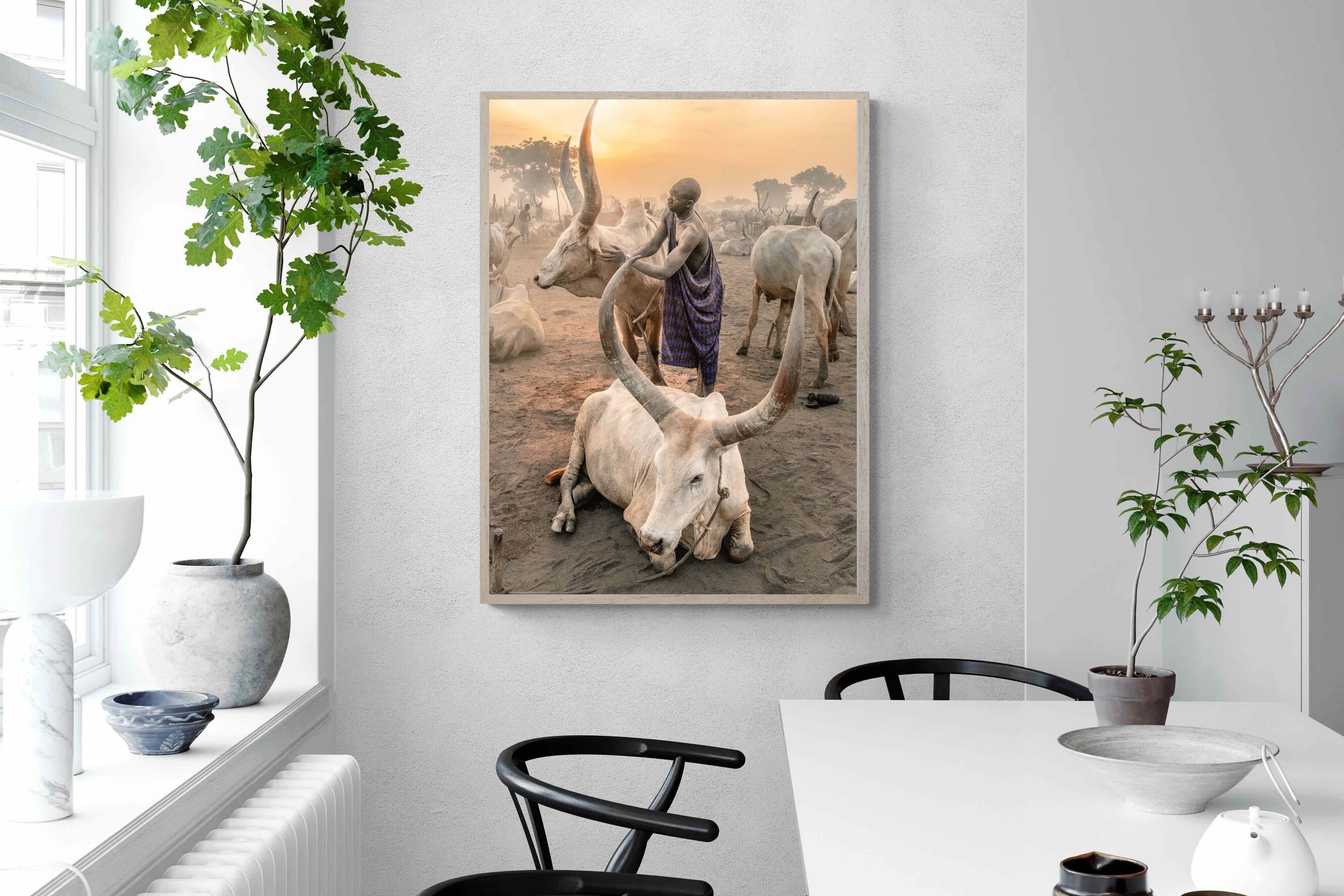 Pixalot Mundari Dawn