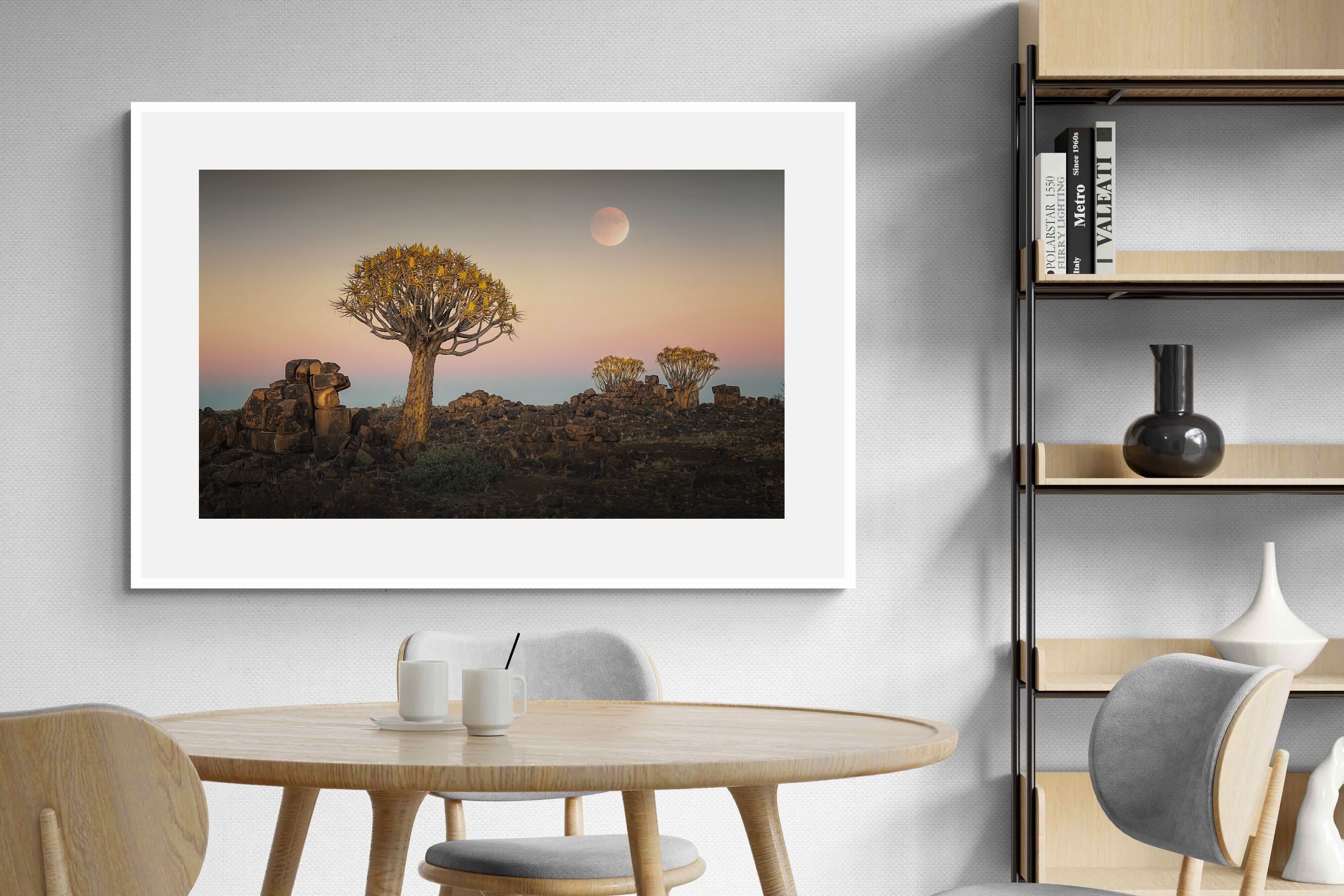 Pixalot Namibian Quiver Trees