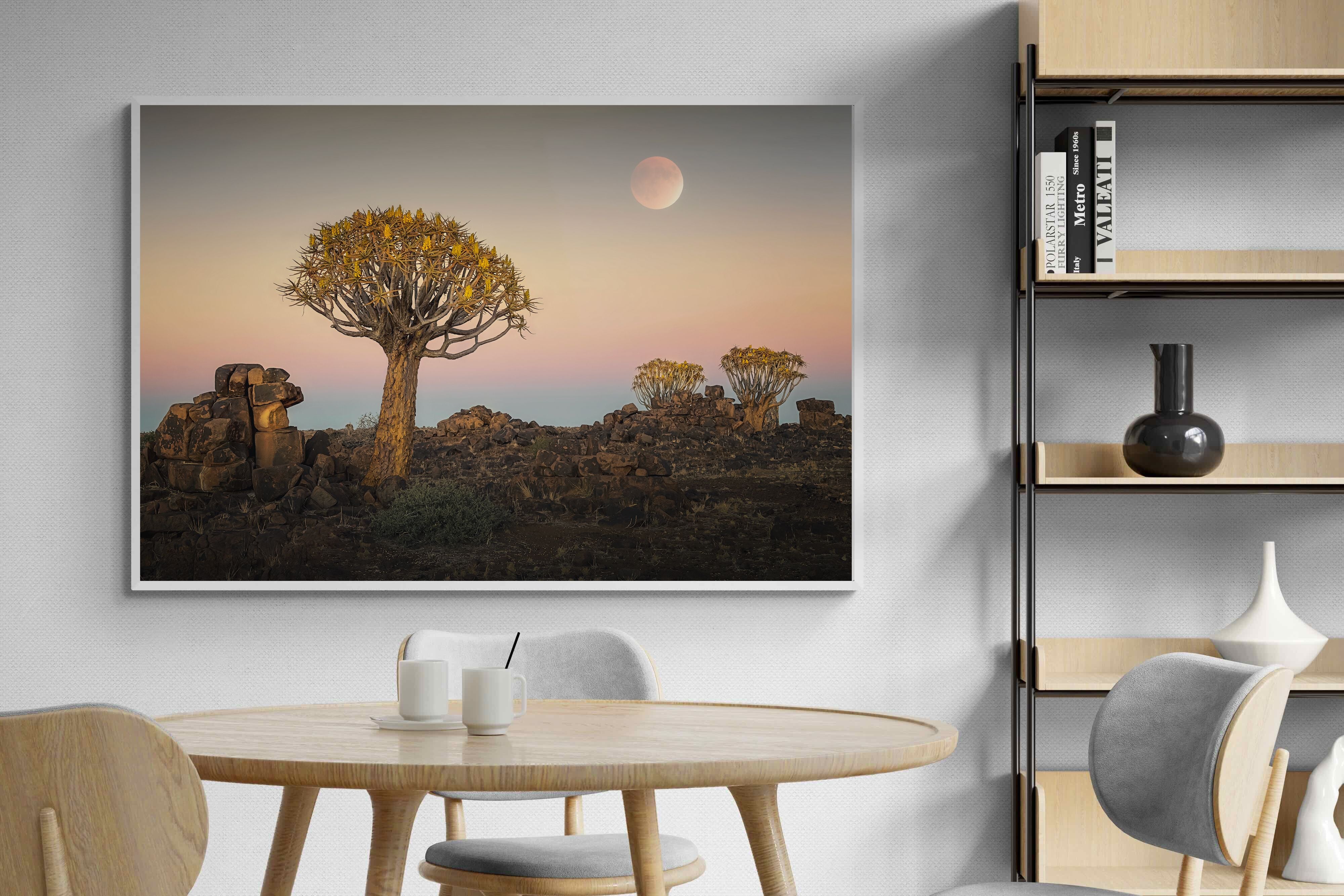 Pixalot Namibian Quiver Trees