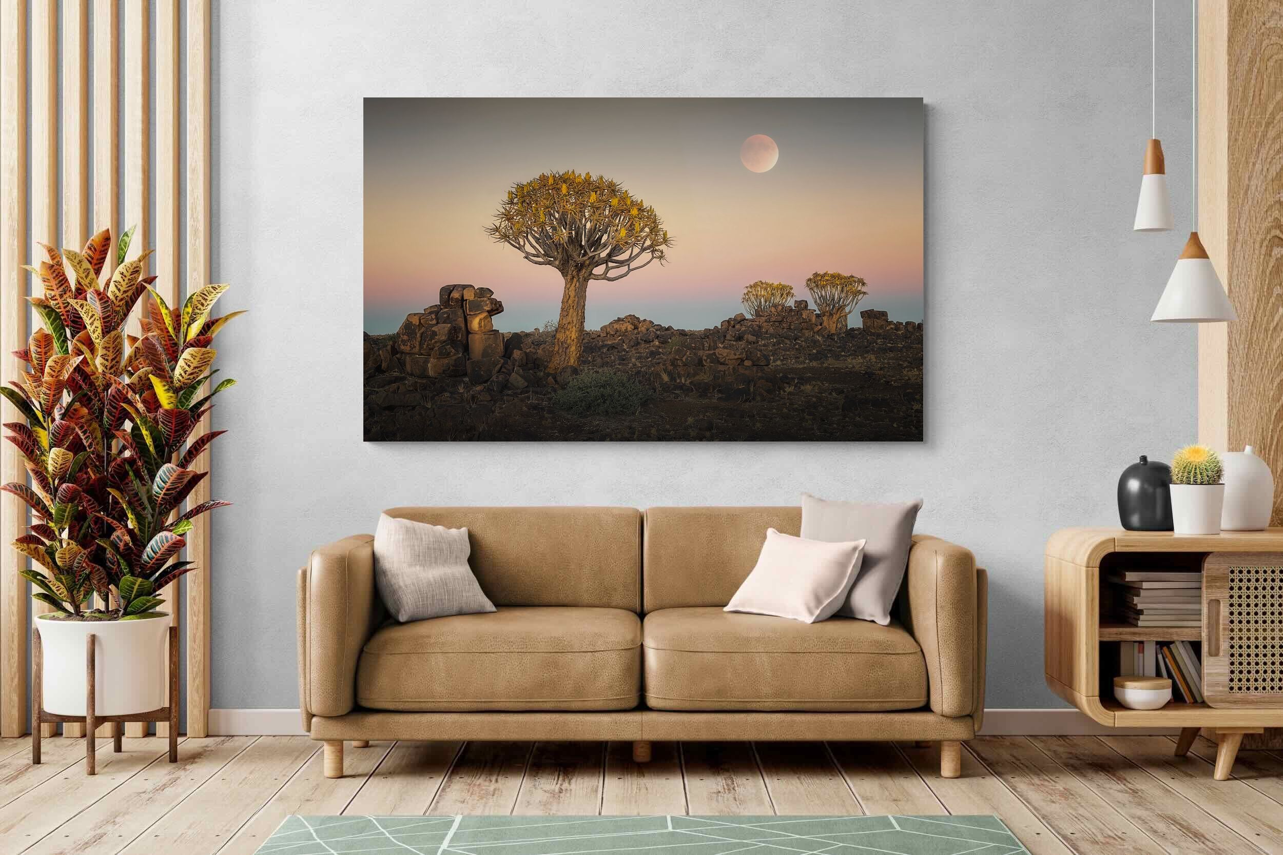 Pixalot Namibian Quiver Trees