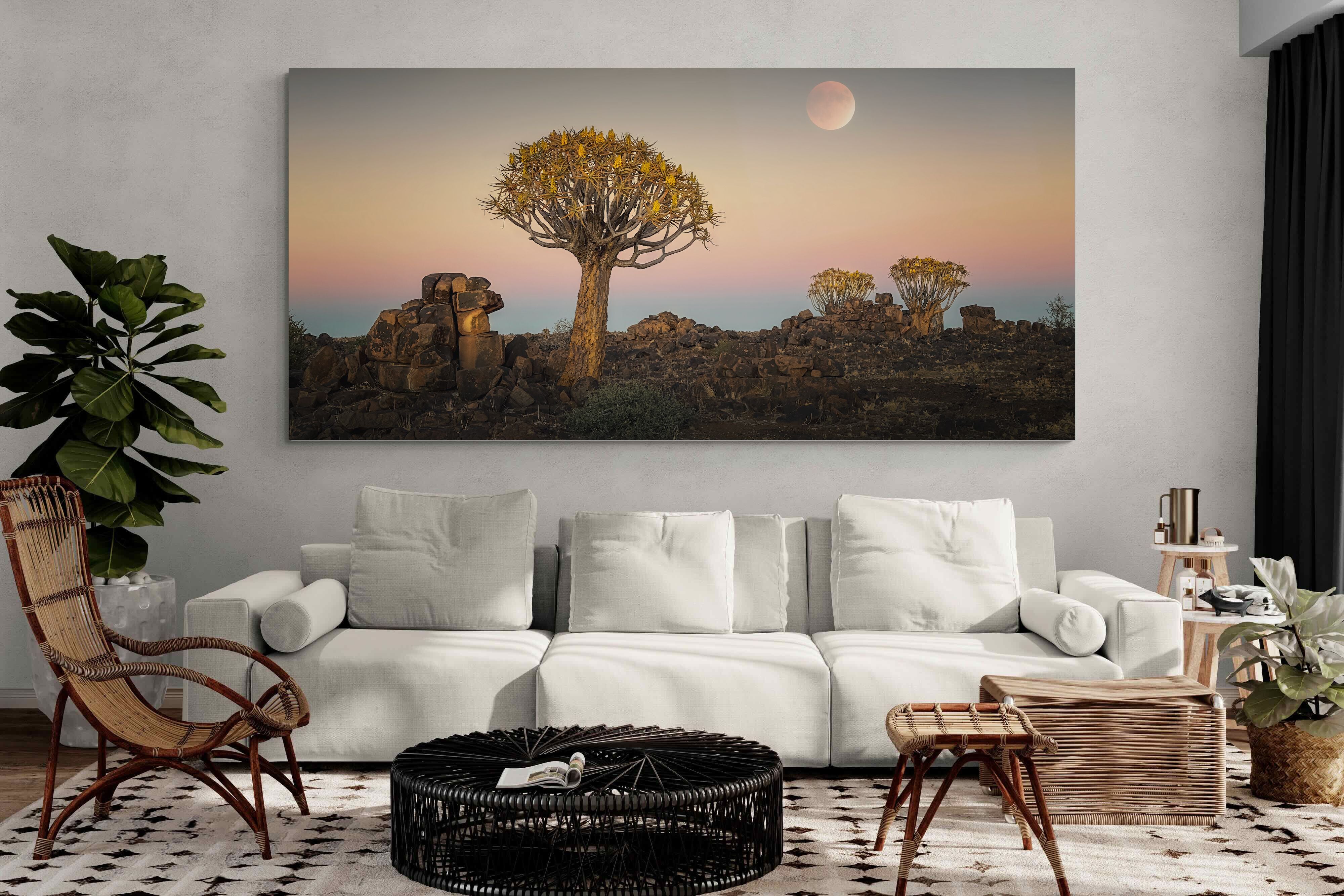 Pixalot Namibian Quiver Trees