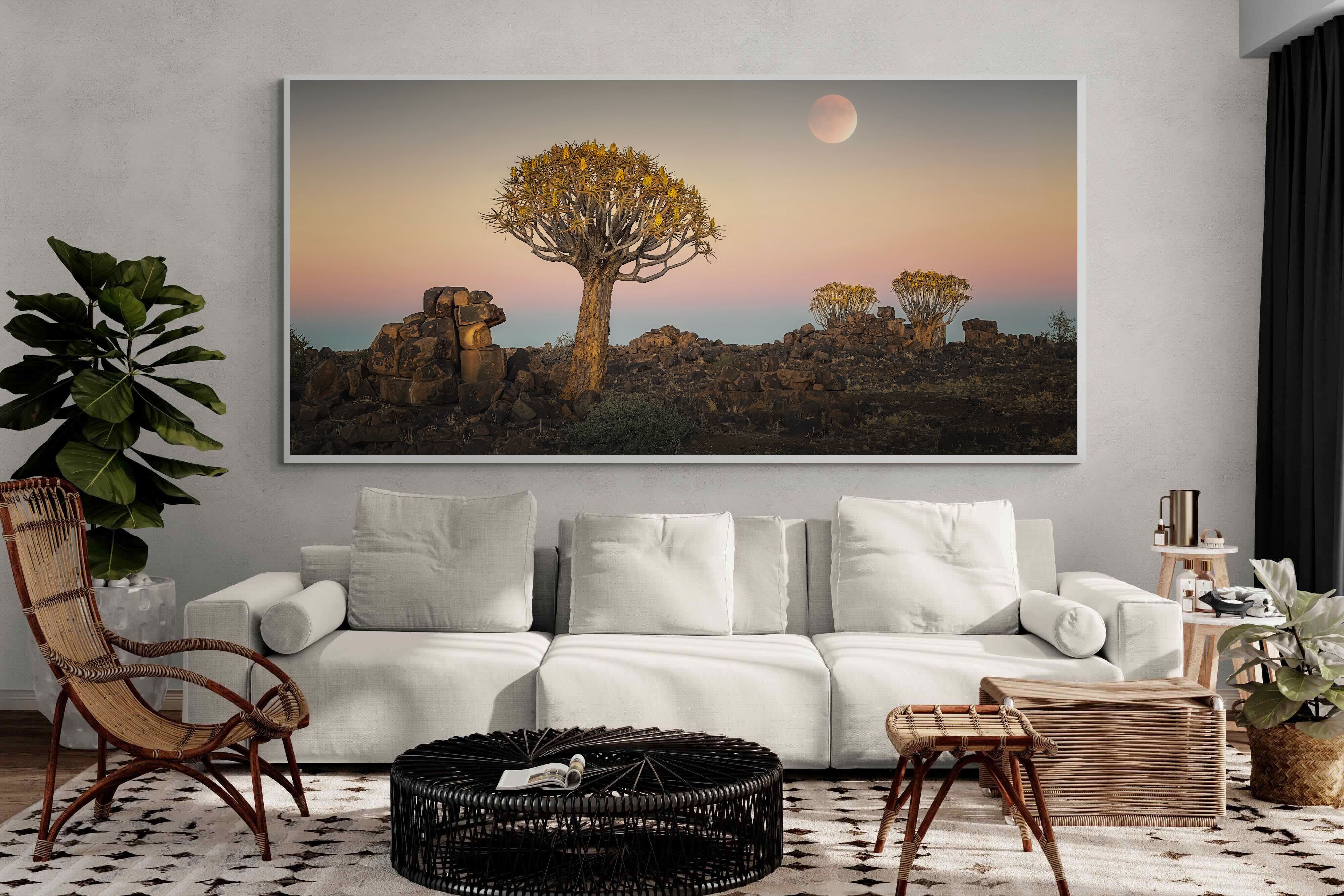 Pixalot Namibian Quiver Trees
