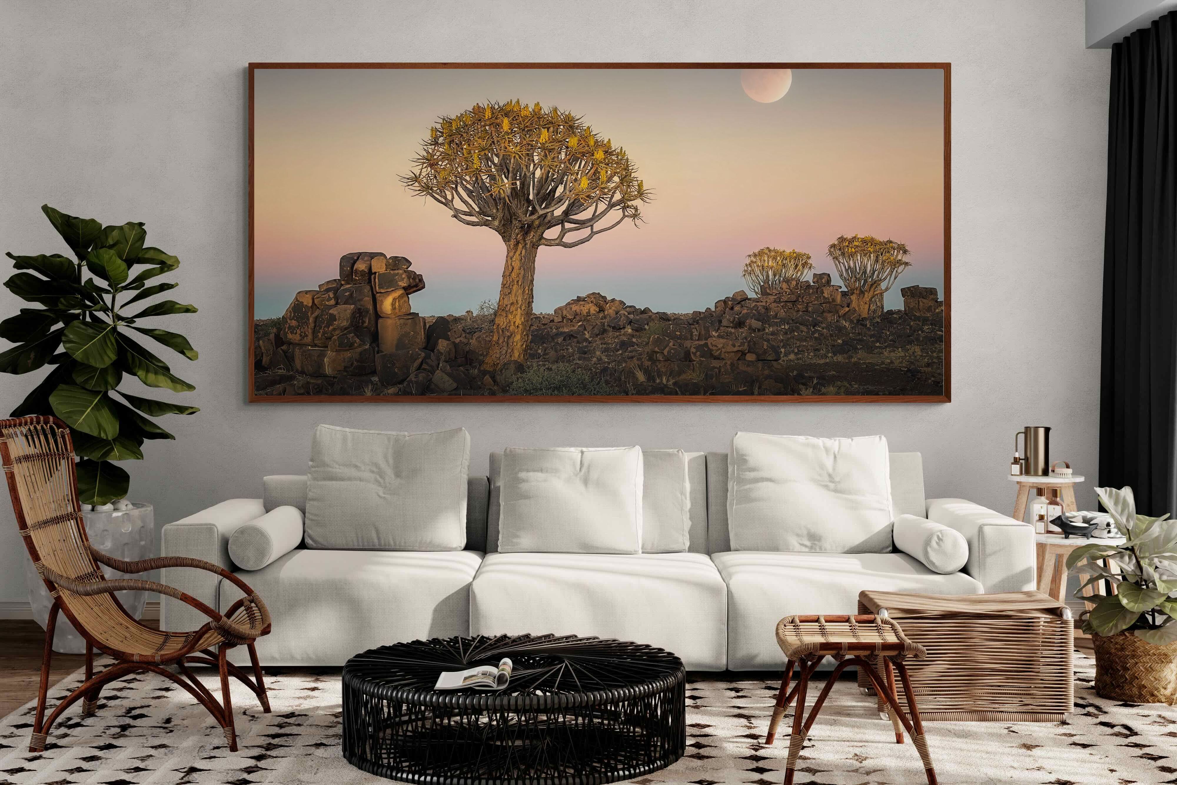 Pixalot ® Namibian Quiver Trees