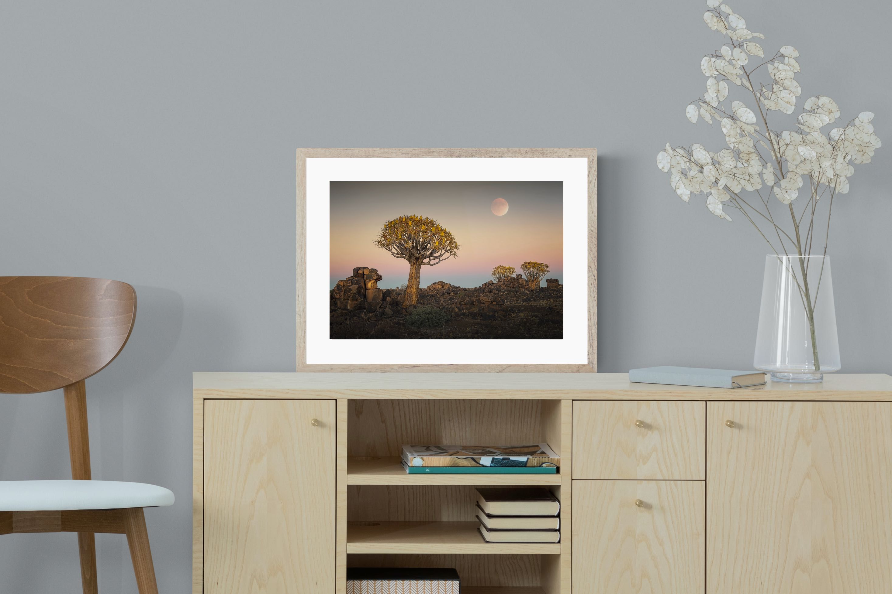 Pixalot Namibian Quiver Trees