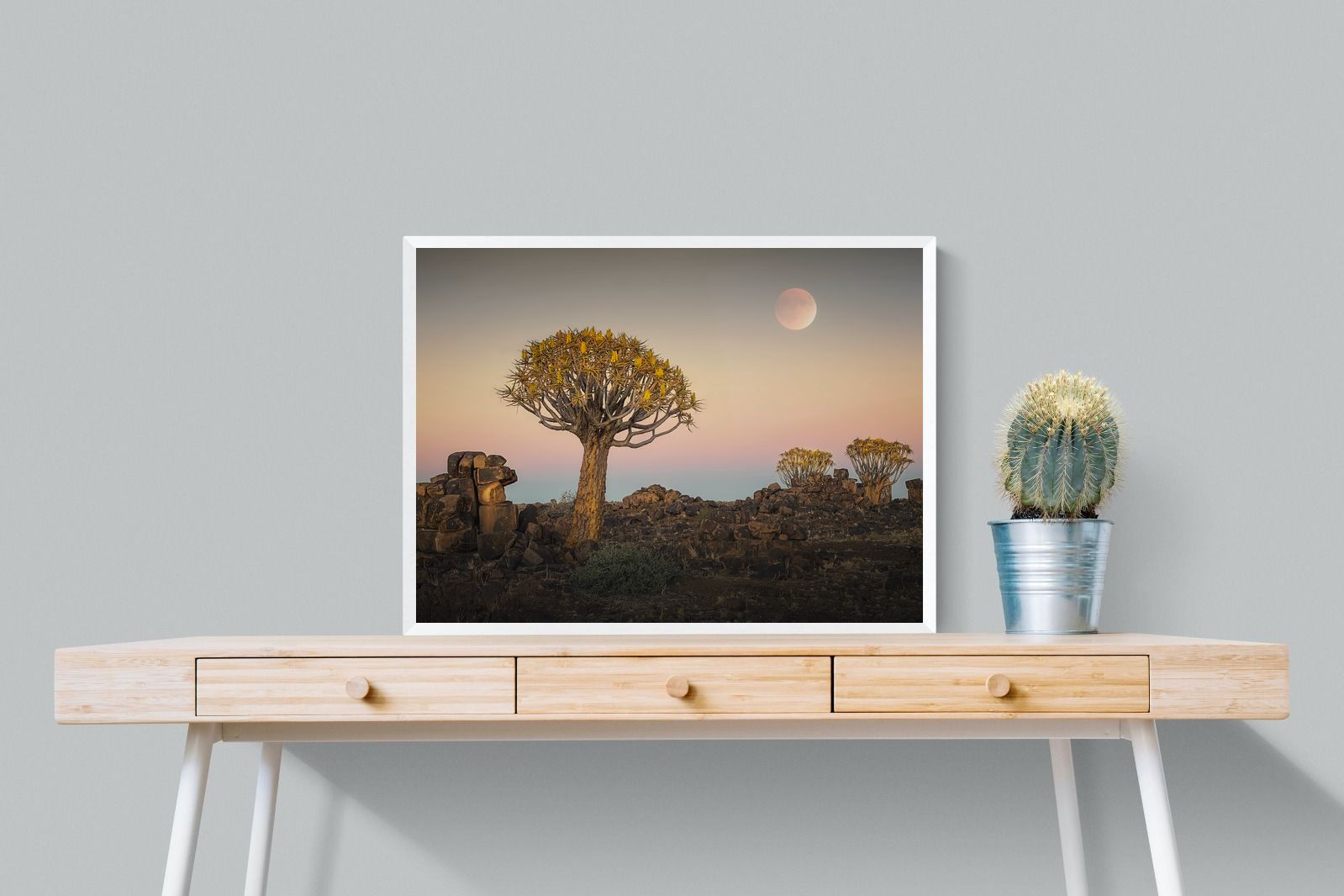 Pixalot Namibian Quiver Trees