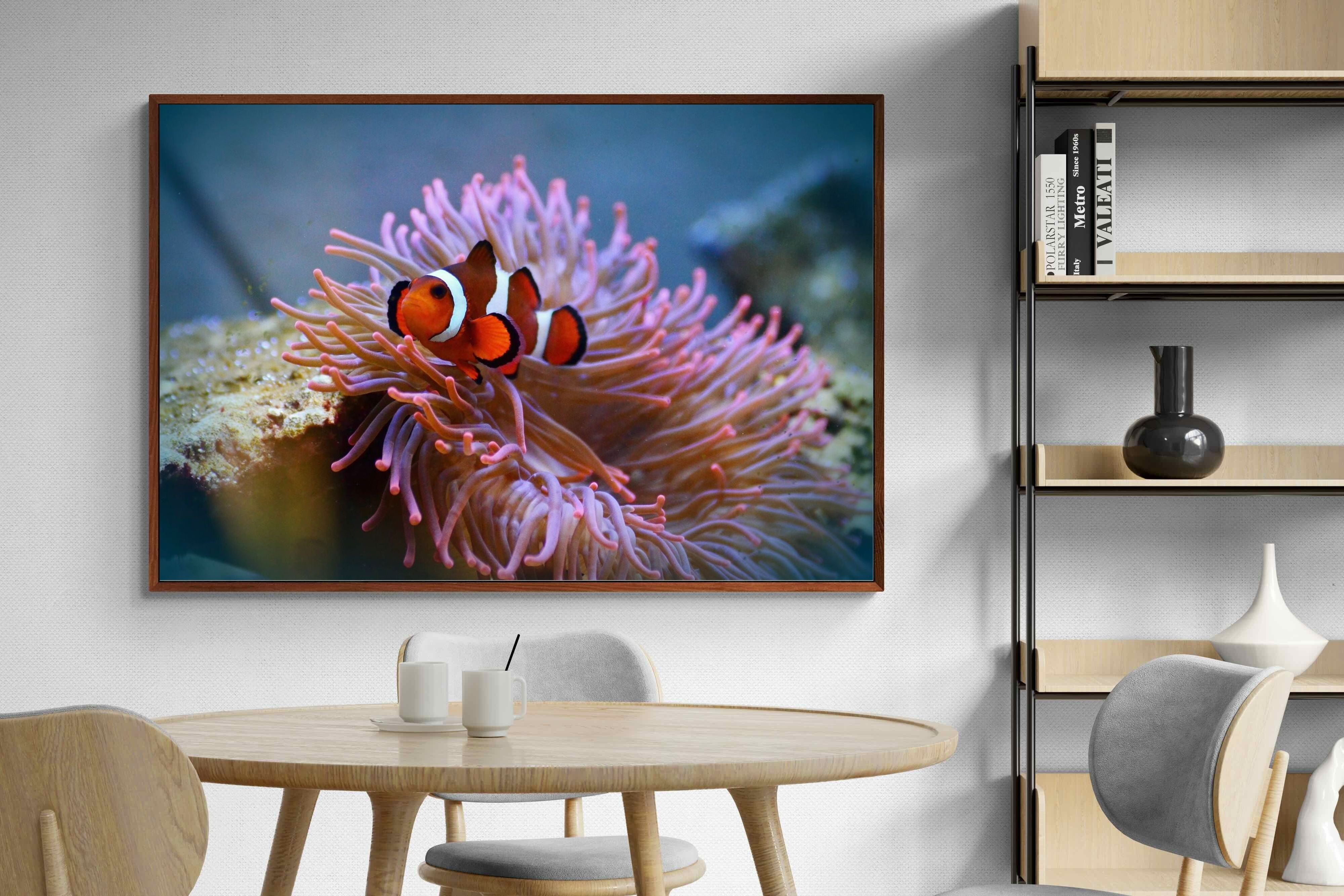 Pixalot ® Nemo