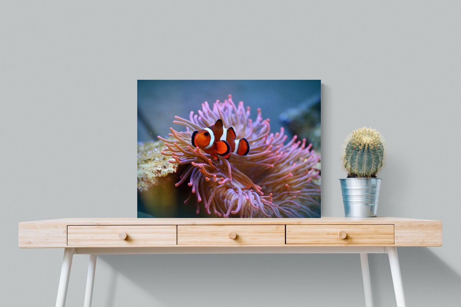 Pixalot Nemo
